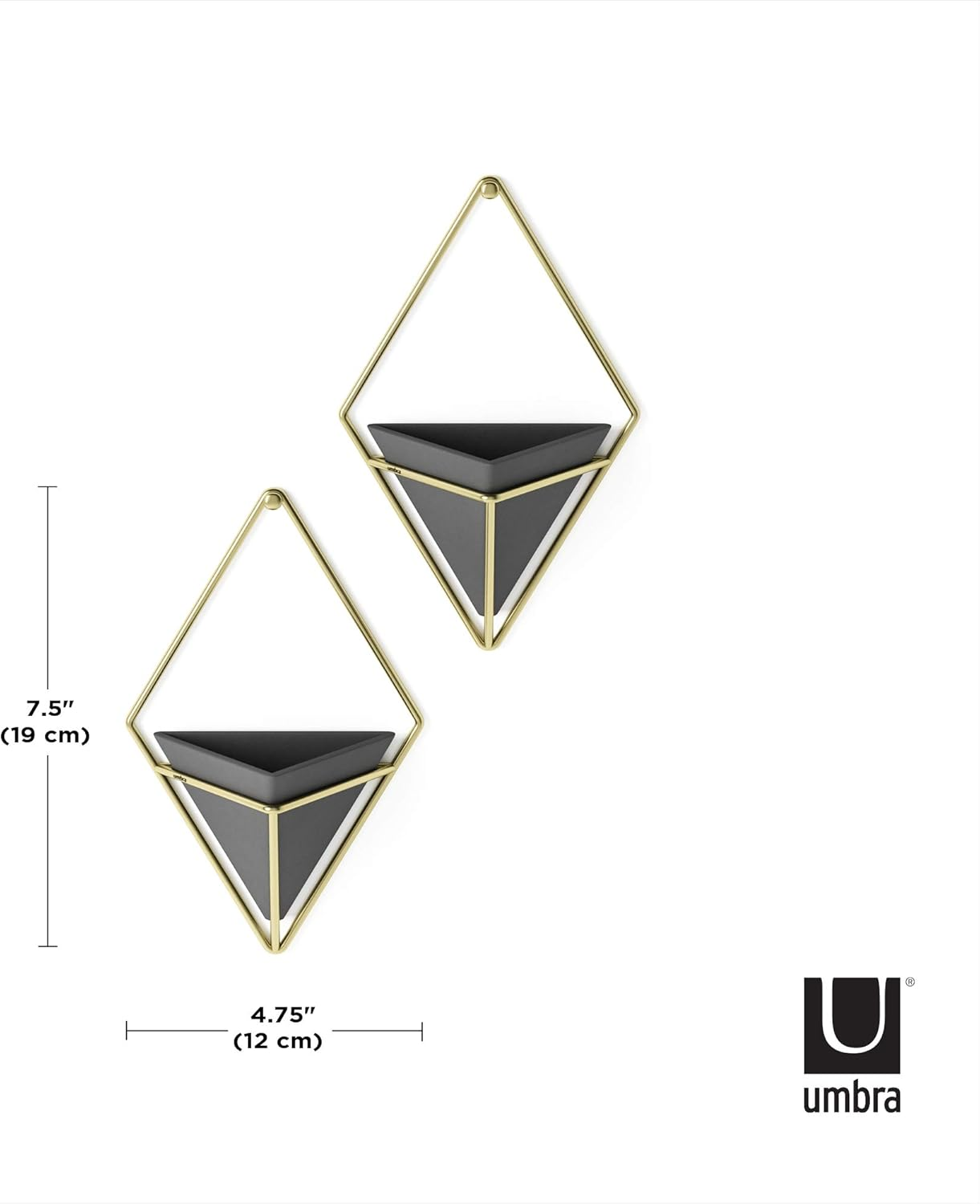 Umbra Trigg Hanging Planter Wall Decor Set, for Displaying Small Plants, Pens and Pencils, Makeup Accessories, Black/Brass image number 4