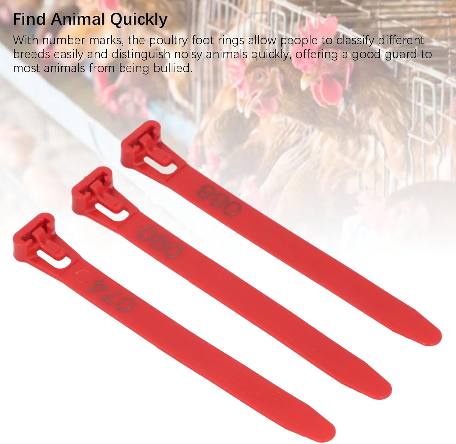 Generic Chicken Leg Rings, 1 to 100 Numbered, Red, Poultry Bands, 100 Count - Orange, Opening Size: 7-15Cm / 2.8-5.9In image number 5
