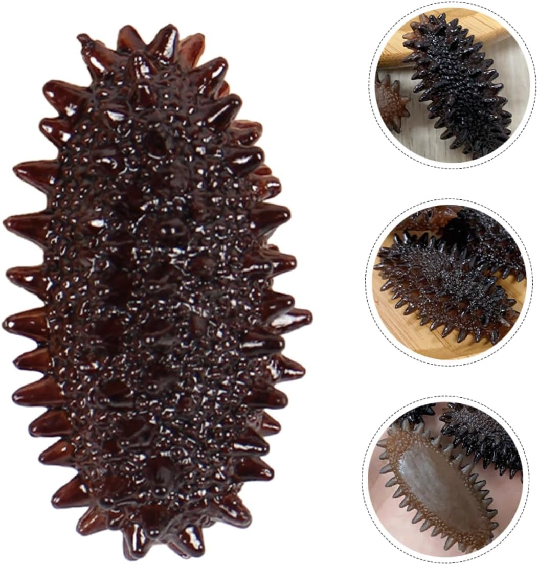 10Pcs Realistic Fake Sea Cucumber Model Portable Food Photo Prop Lifelike Decorative Model for Photography Display