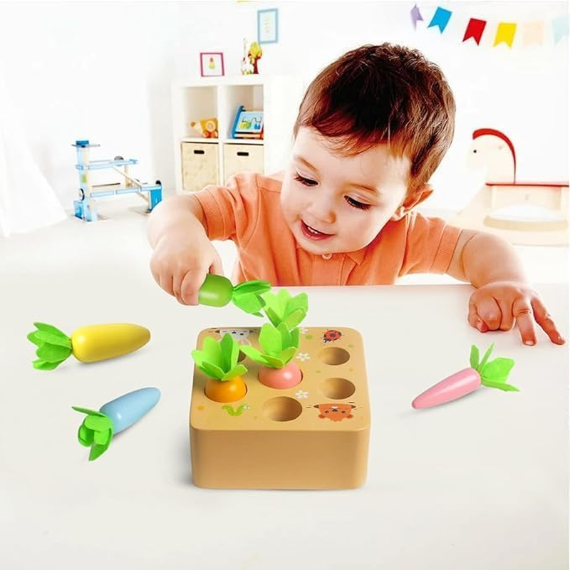 Montessori Toys for 3+ Year Old Wooden Toys Developmental Shape Sorting & Matching Puzzle Carrots Harvest Game Educational Learning Shape Sorting Matching Gifts for Toddlers Babies Boys and Girls image number 1