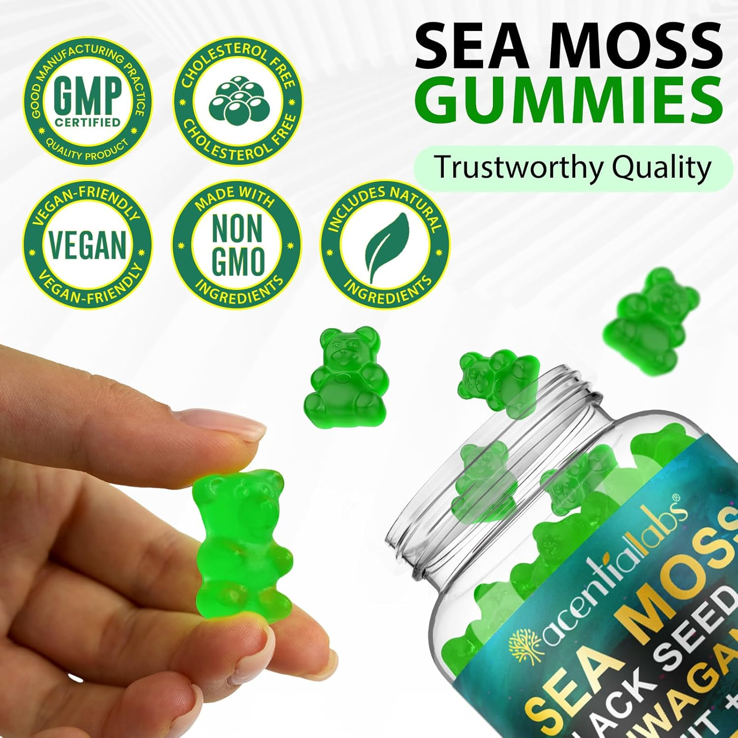 Sea Moss, Black Seed Oil, Ashwagandha, Ginger, Shilajit Gummies with Elderberry, Chlorophyll, Turmeric, Bladderwrack 17590Mg Advanced Strength Formula - All in 1 Formula - 60 Gummies image number 2