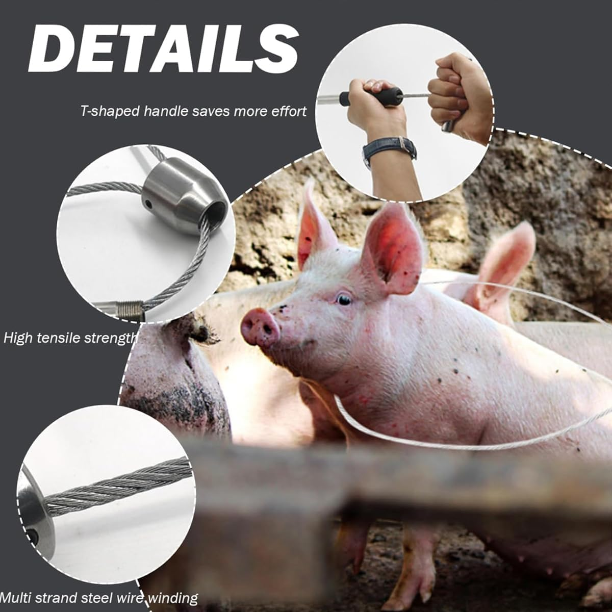 AIMALL Stainless Steel Pig Catcher Set with T-Handle Retractable Rod 28.34In Noose and 24.40In Pole Strong Wire Rope Restraint Tool for Hog Handling and Mouth Control image number 2