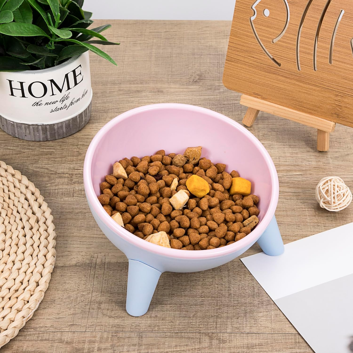 Feeding Bowl for Cats and Dogs 15&deg; Tilting Cat Bowls anti Vomiting Cat Bowl for Small Kittens Dogs image number 2