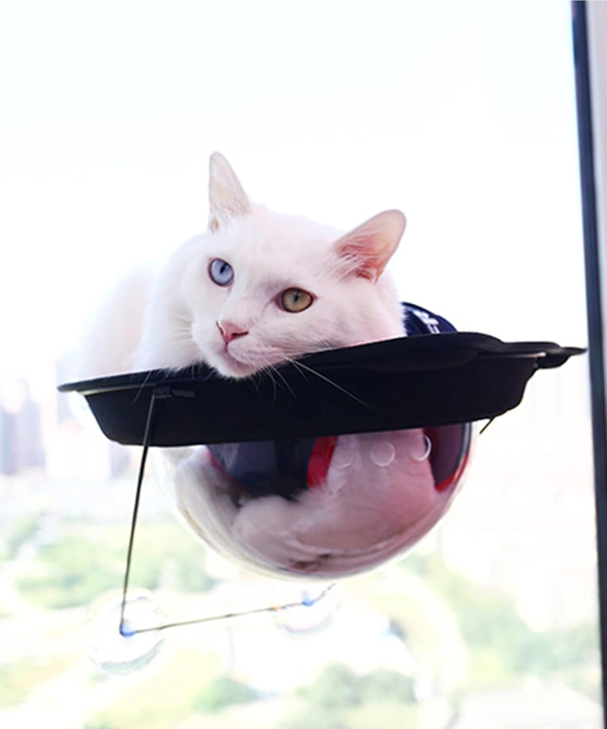 Hinata Nyanko Cat Window Bed, Window Bed, Cat Bed, Hammock, Cat Bed, Window Adheres to Windows, Suction Cup, Sunscreen Pet Bed, Gray image number 1