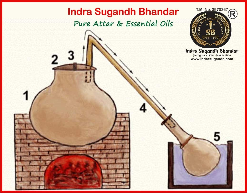 INDRA SUGANDH BHANDAR Attar for Men|Women Shahi Chandan Real Mysore Sandalwood Long Lasting Fragrance 12Ml Rollon Pack image number 5