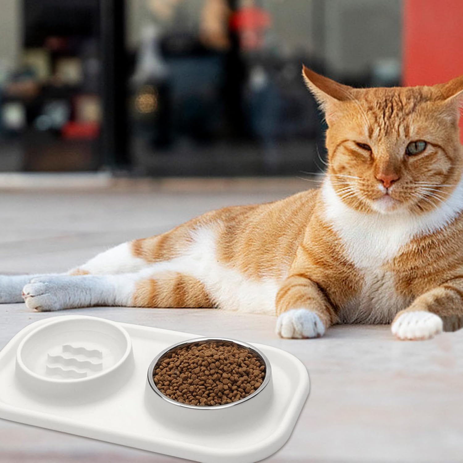 Cat Bowl, Food Bowl, Stainless Steel Bowl, Silicone Bowl, Travel Bowl, Pet Food, Water Bowl image number 1