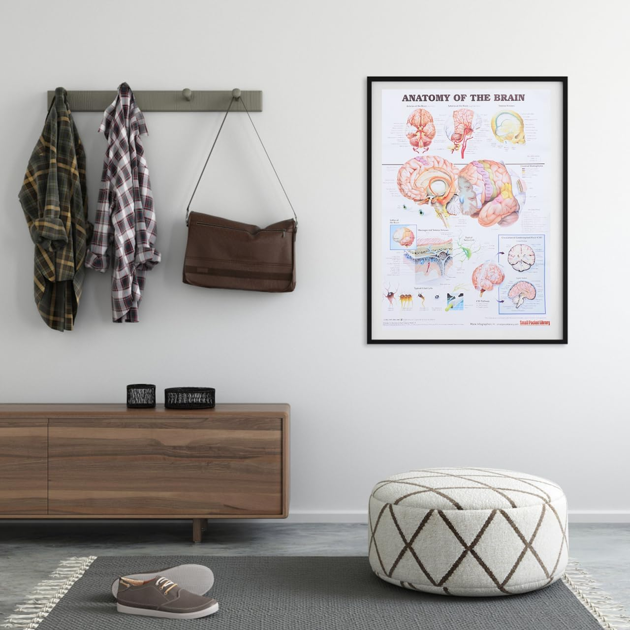 Healvian Anatomical Poster of Human Brain Anatomy Chart Educational Medical Poster for Laboratories Schools and Classrooms High-Grade Material for Long-Lasting Use image number 2
