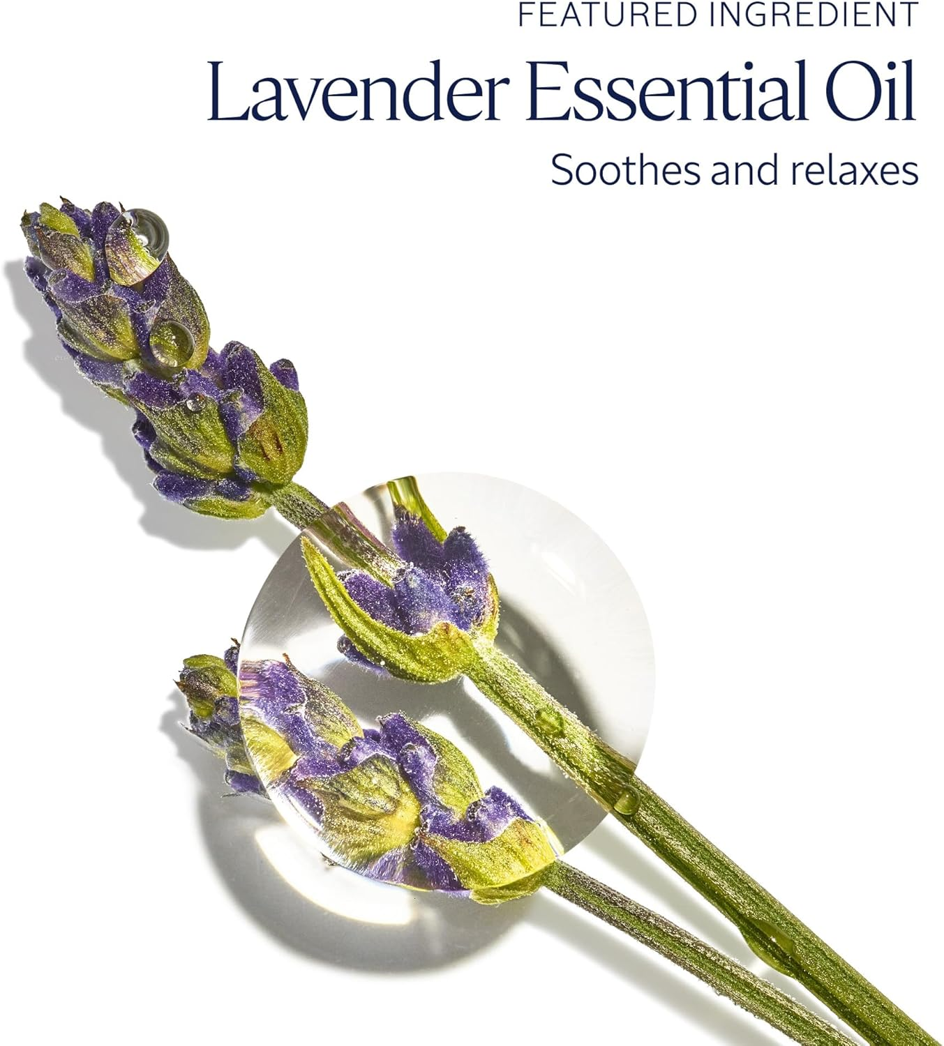 Lavender Hand Cream Lavender 75Ml image number 5