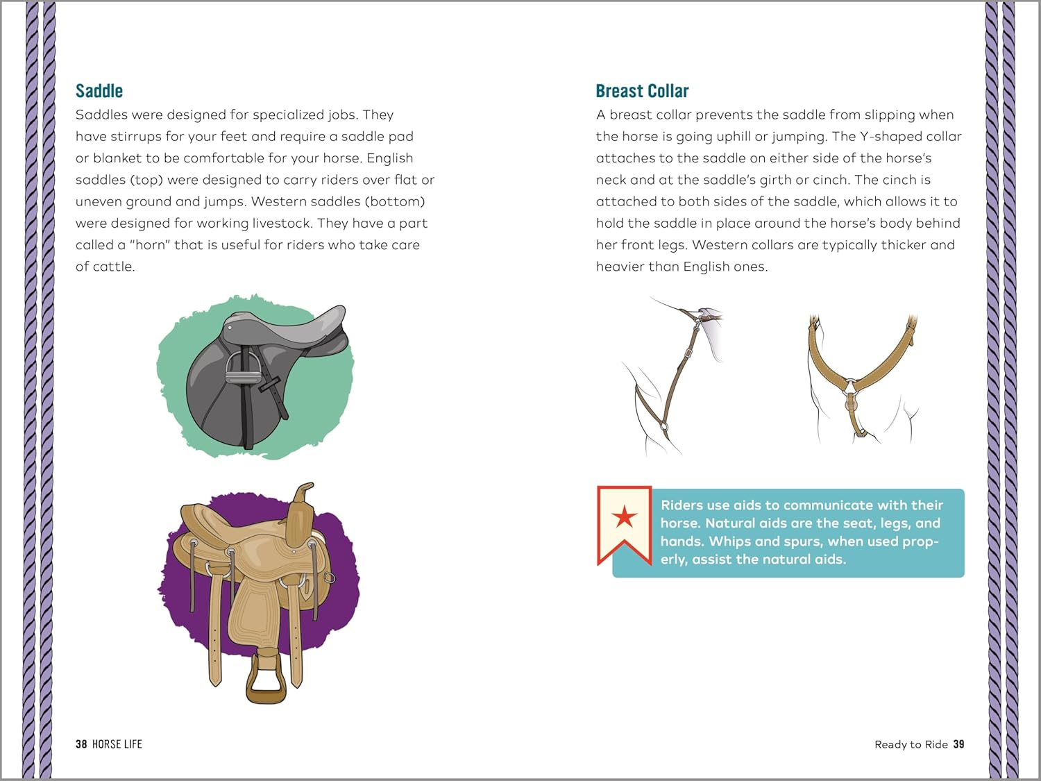 Horse Life: the Ultimate Guide to Caring for and Riding Horses for Kids image number 5