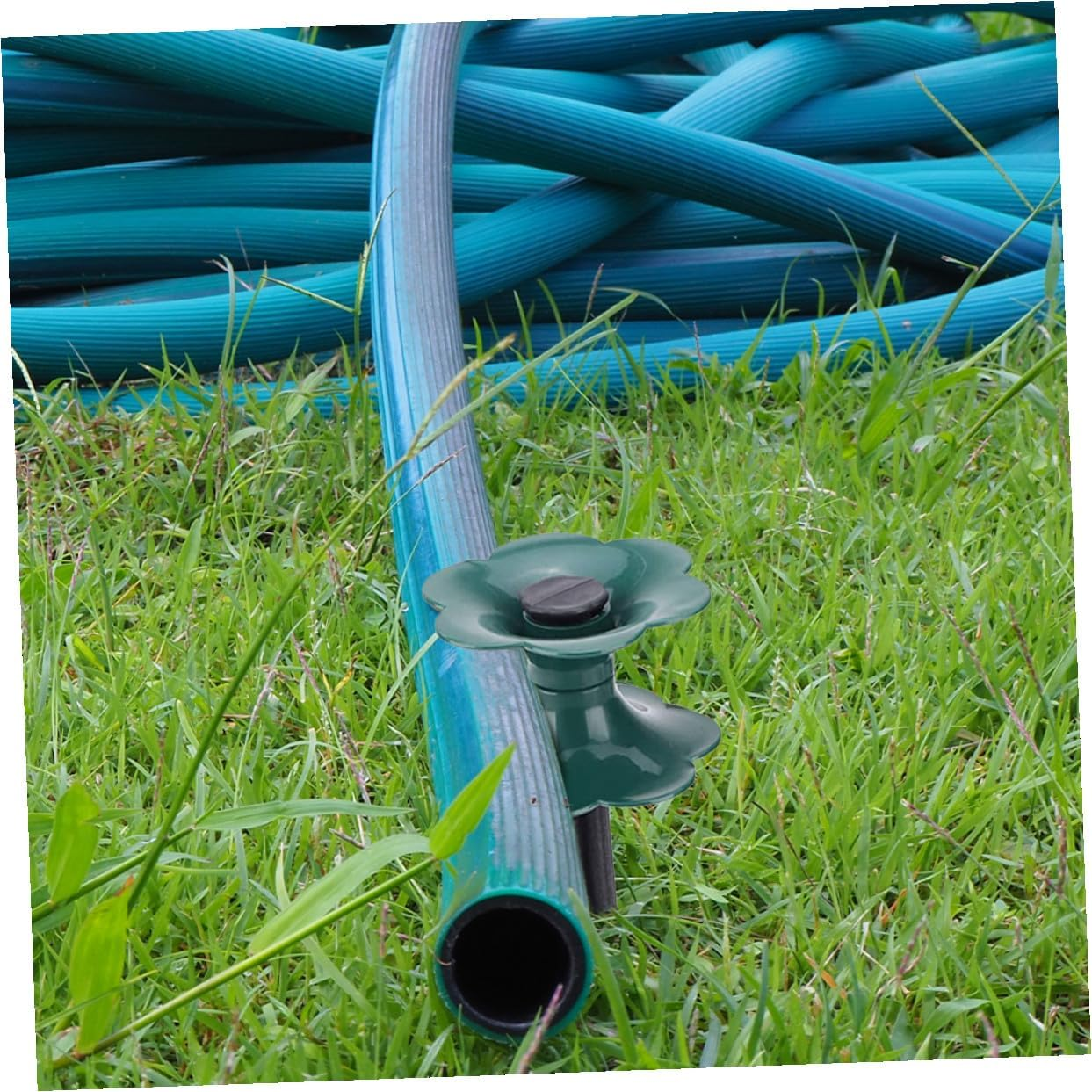 Hose Guide Wheels and Plastic Spikes for Garden Hose Support 4Pcs Set Lawn and Patio Holder Organizer for Outdoor Irrigation and Management image number 5