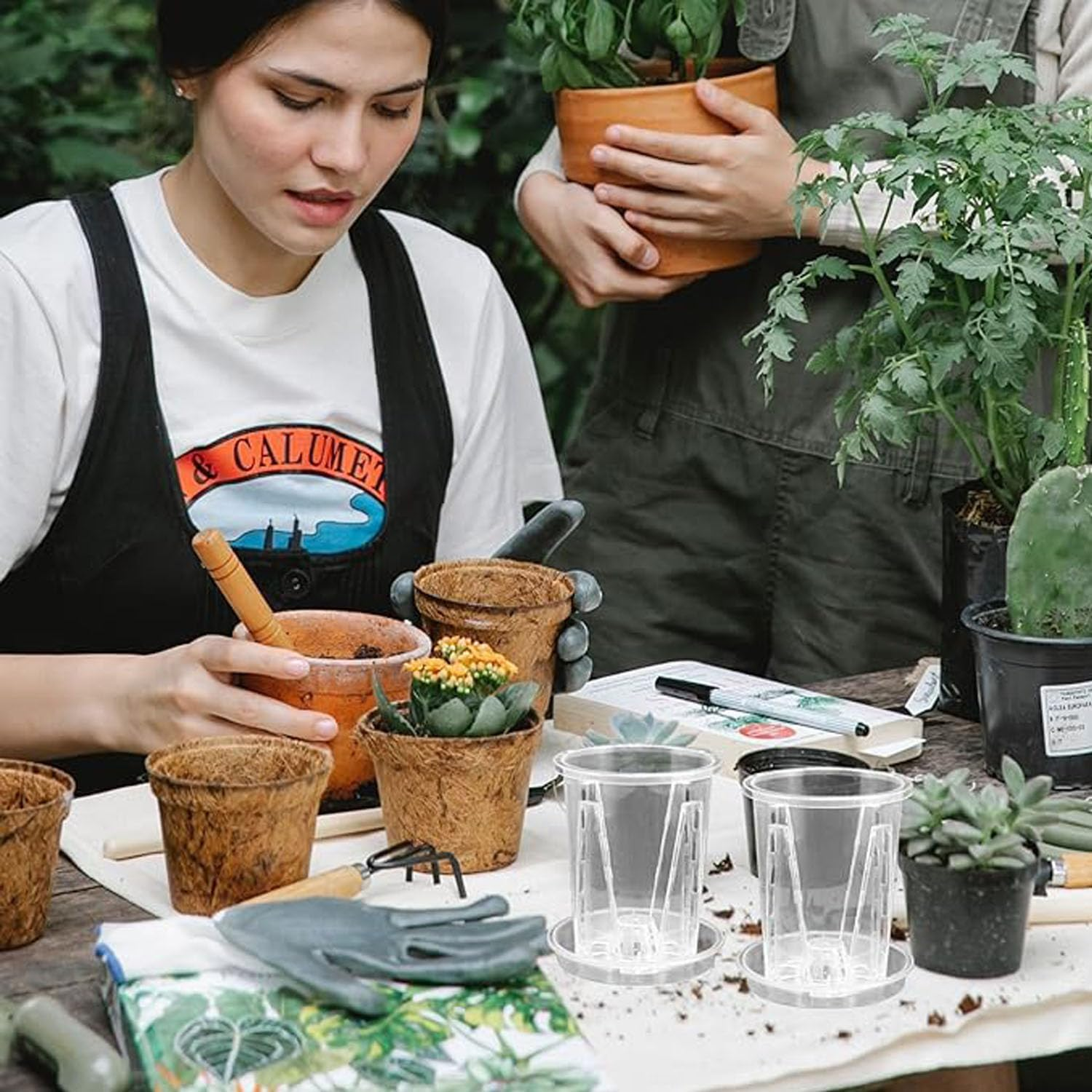 6 Pcs Clear Orchid Pots with Holes & Saucers - Breathable Slotted Planters for Orchids, Succulents, Houseplants Durable Decorative Flower Pot with Drainage Tray image number 4