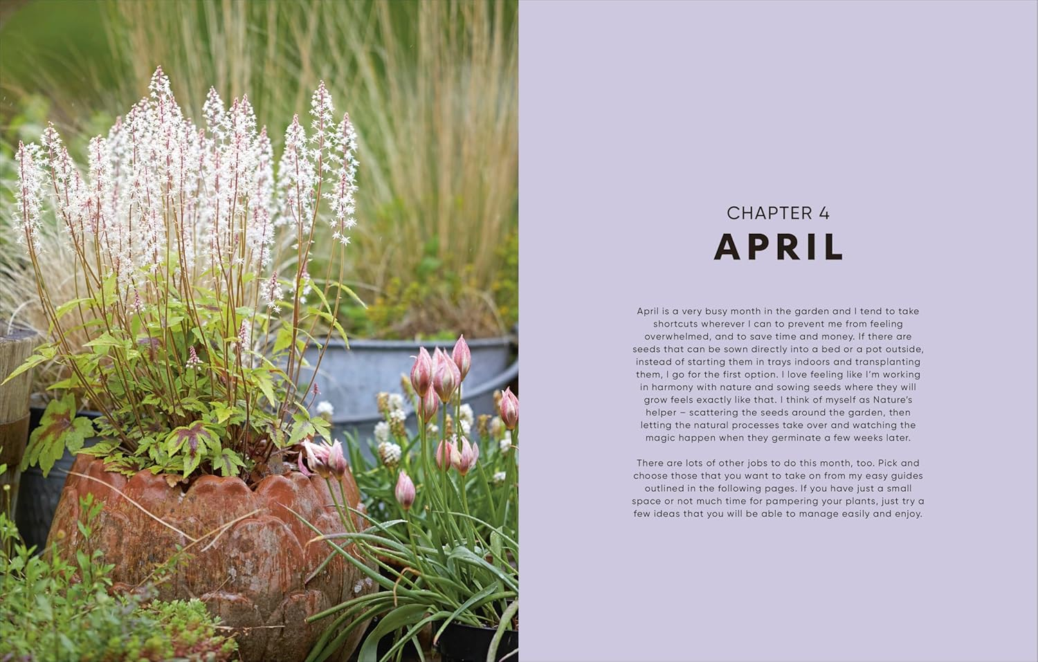 The Money-Saving Garden Year: a Month-By-Month Guide to a Great Garden That Costs Less