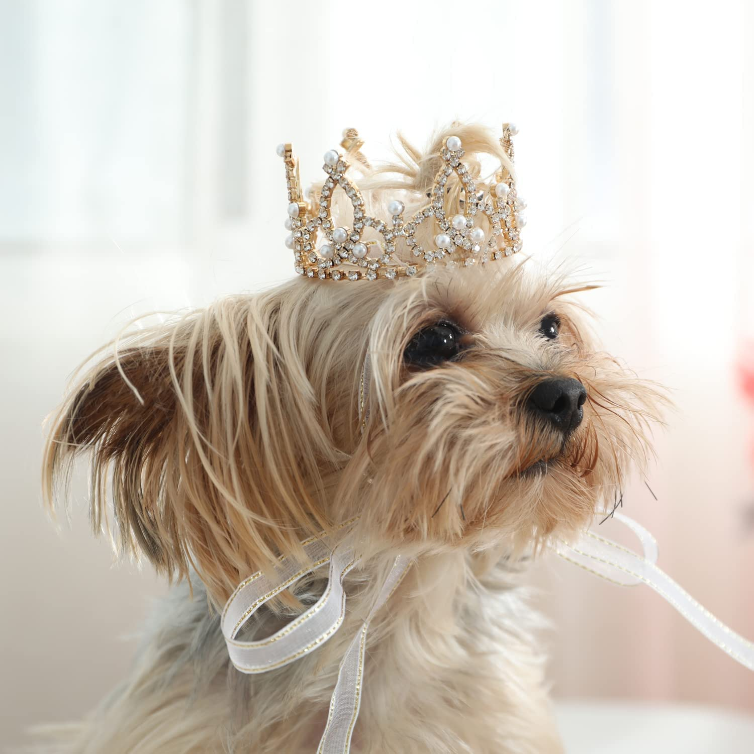 Lovelyshop Pet Series Gold Plated Royal Rhinestone Pearl Full round Dog/Cat Crown for Costume Hair Accessories-Xsmall Size