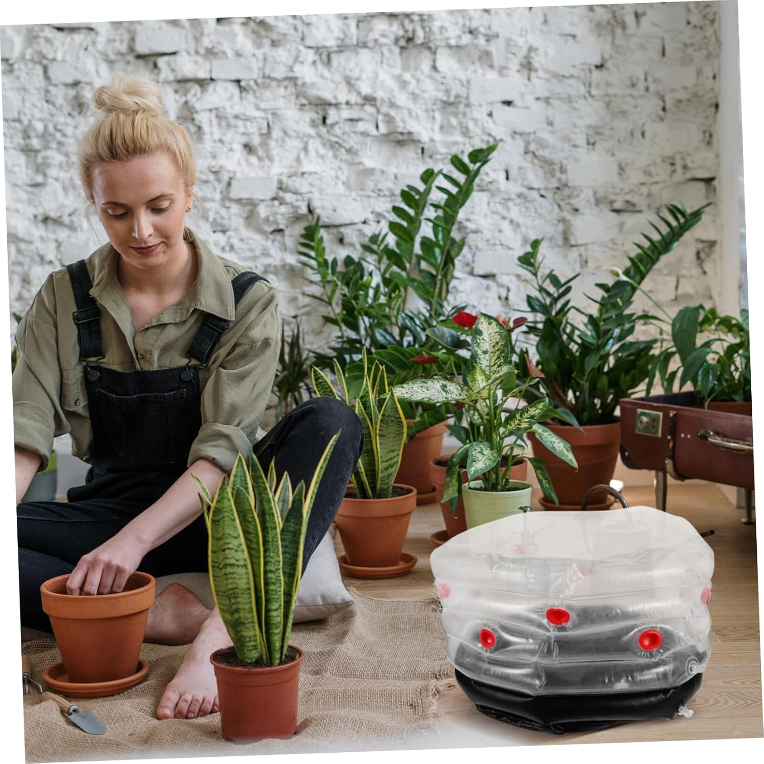 CIMAXIC Inflatable Planting Box for Mushroom Growing Reusable Ventilation for Indoor Gardening and Mushroom Cultivation image number 6