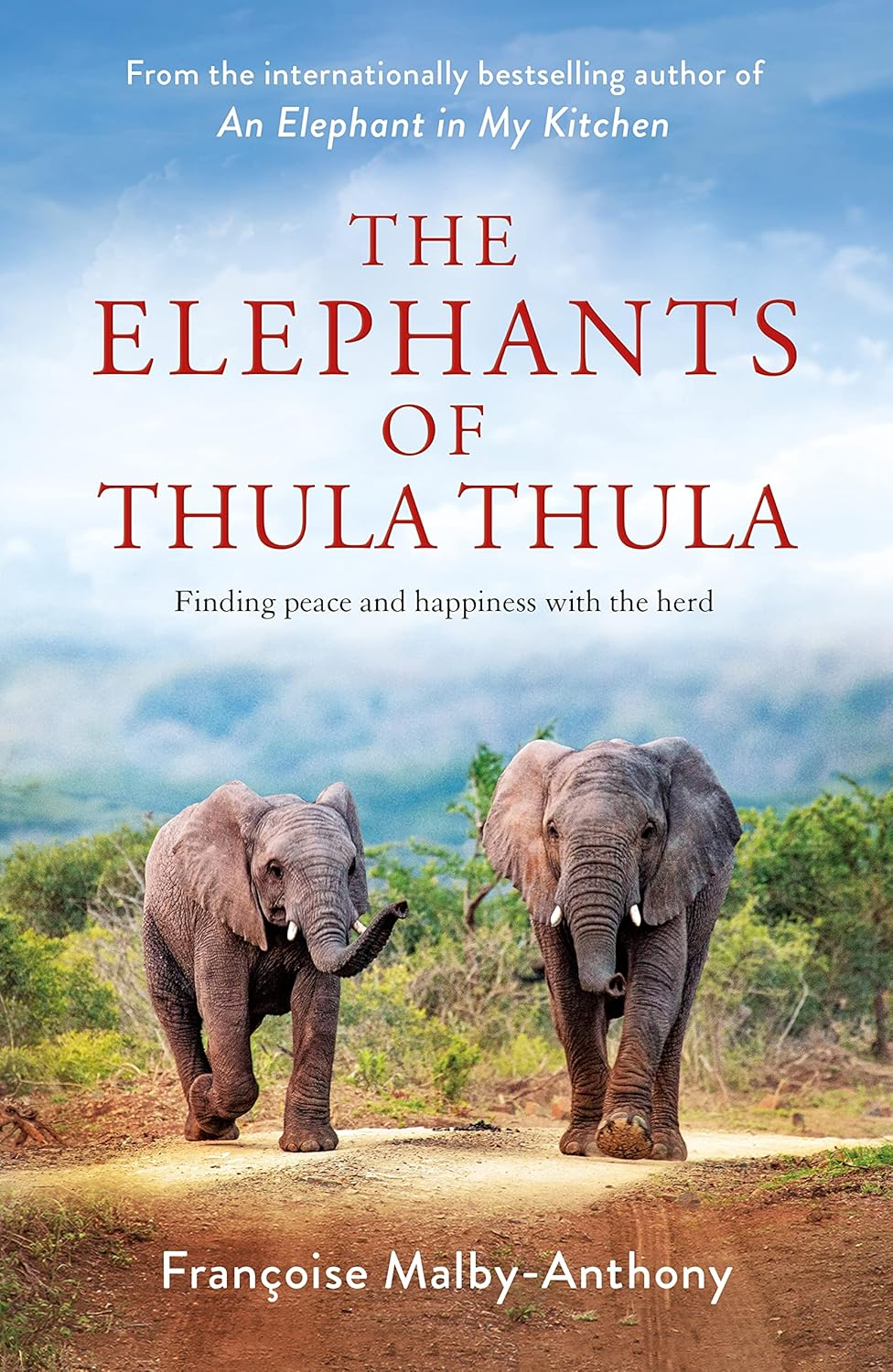 The Elephants of Thula Thula: Finding Peace and Happiness with the Herd image number 1