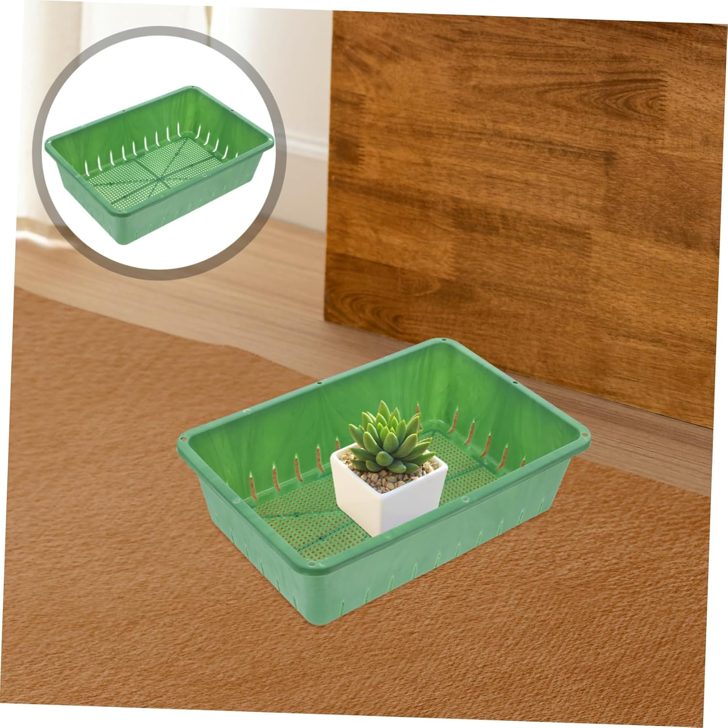 KONTONTY 2 Pcs Sprouting Trays for Seedling and Indoor Gardening Breathable Plastic Seedling Starter Trays Small Size 26X18X7Cm Green Plant for Healthy Root Development image number 3