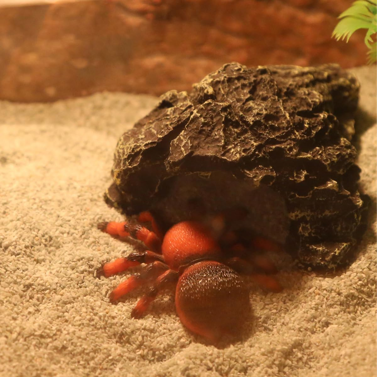 AIMALL Multi-Color Pet Sand for Tortoises, Snakes, Lizards, Spiders &ndash; Reptile Habitat Decor and Substrate &ndash; Ideal for Environmental Enrichment - Pink image number 6