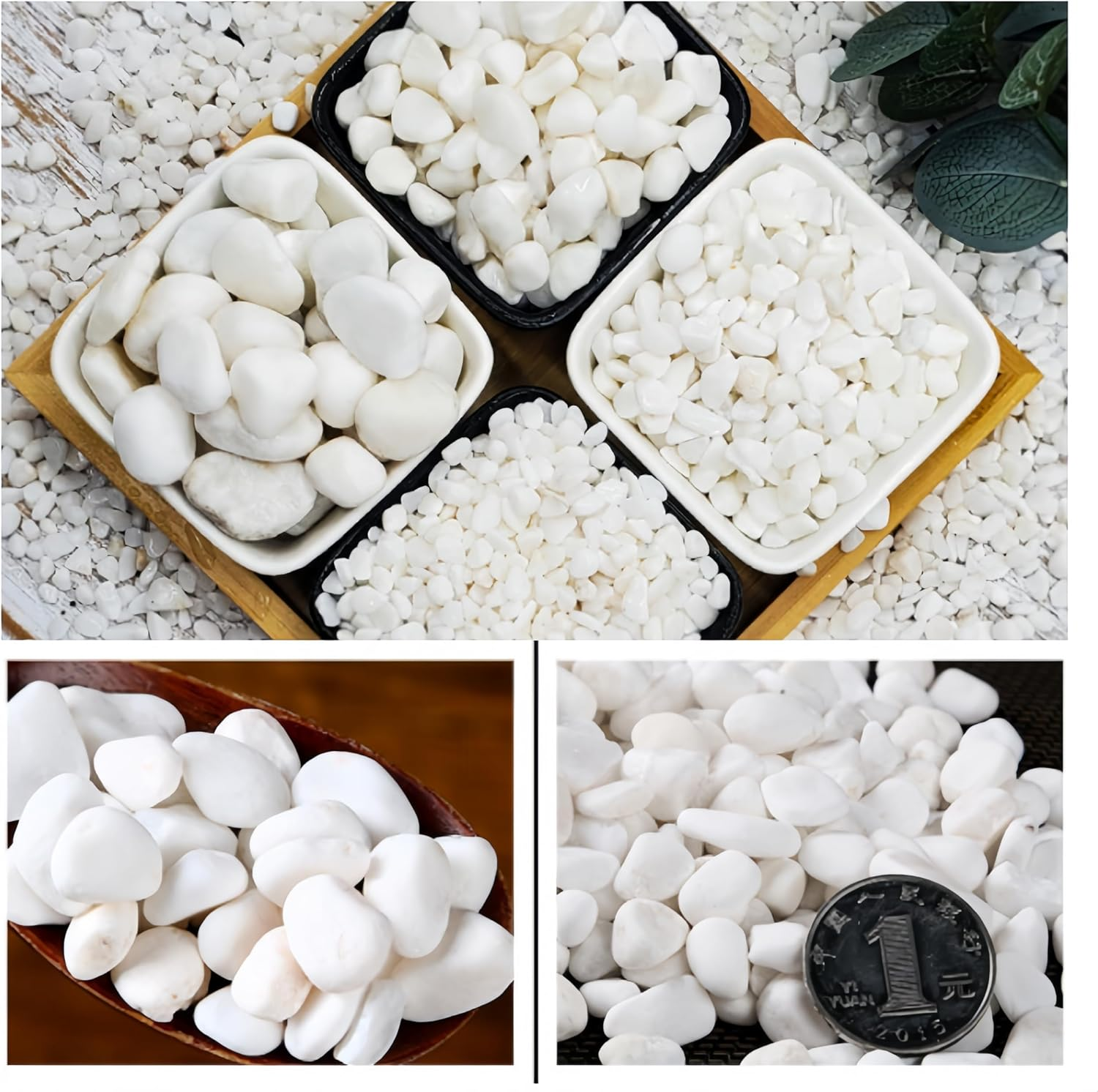 White Pebble, White Pebble Plant, 1-3Cm White Gravel for Indoor Plants, River Rocks Pebbles for Plants, Home DIY Decor, Aquarium Gravel, Vase Fillers, Landscaping Outdoor Stones(1.65 Lb White) image number 3