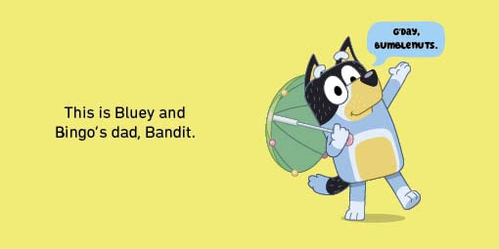 Bluey: Little Library: 4 Books in 1 image number 1