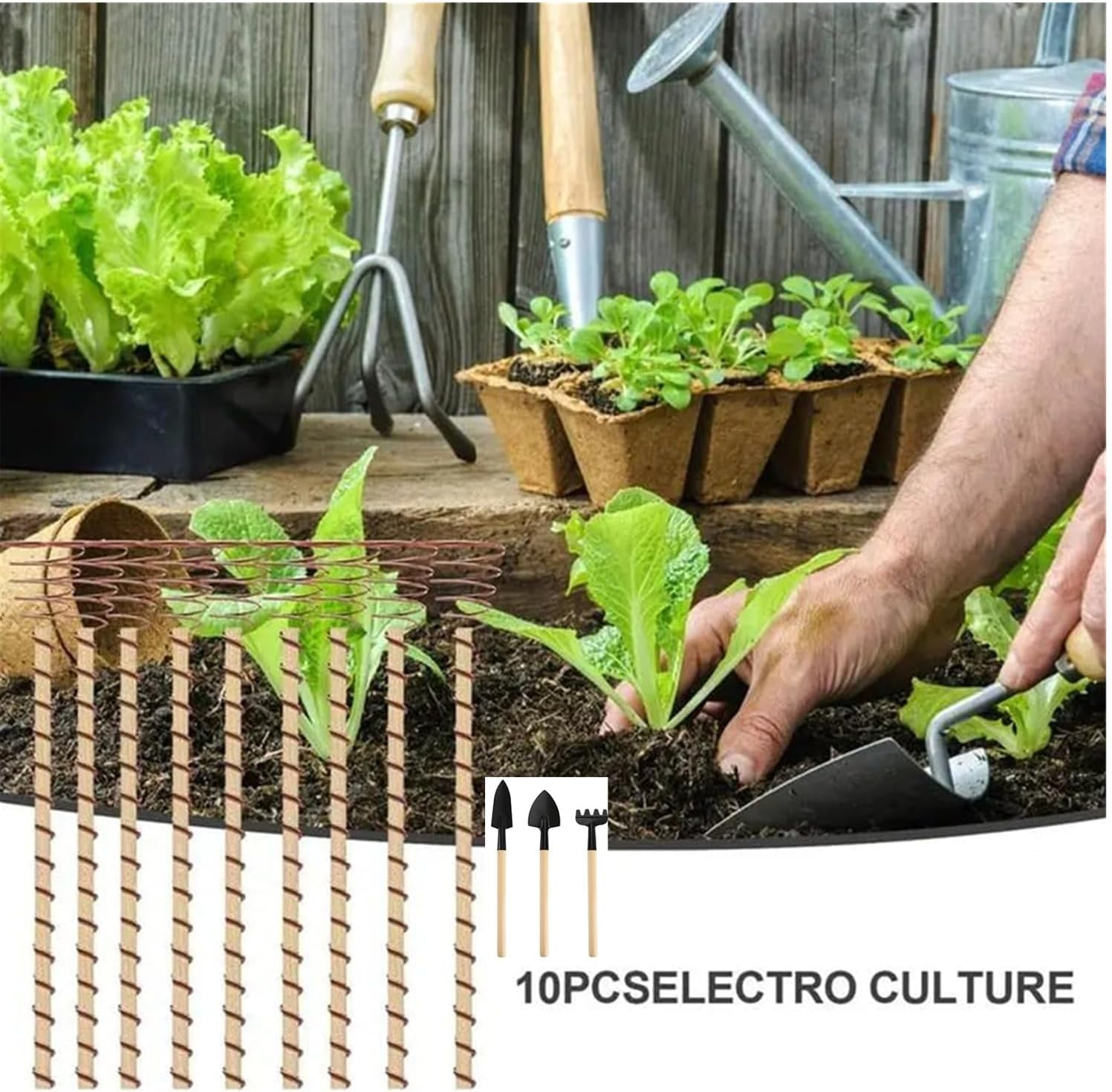 MEZOKUCEL Electroculture Plant Stakes - 12-Inch Copper Stakes Probes 10Pcs Long Copper Wire Garden Tools, Garden Copper Stakes for Plants Vegetables Fruits (10Pcs) image number 5