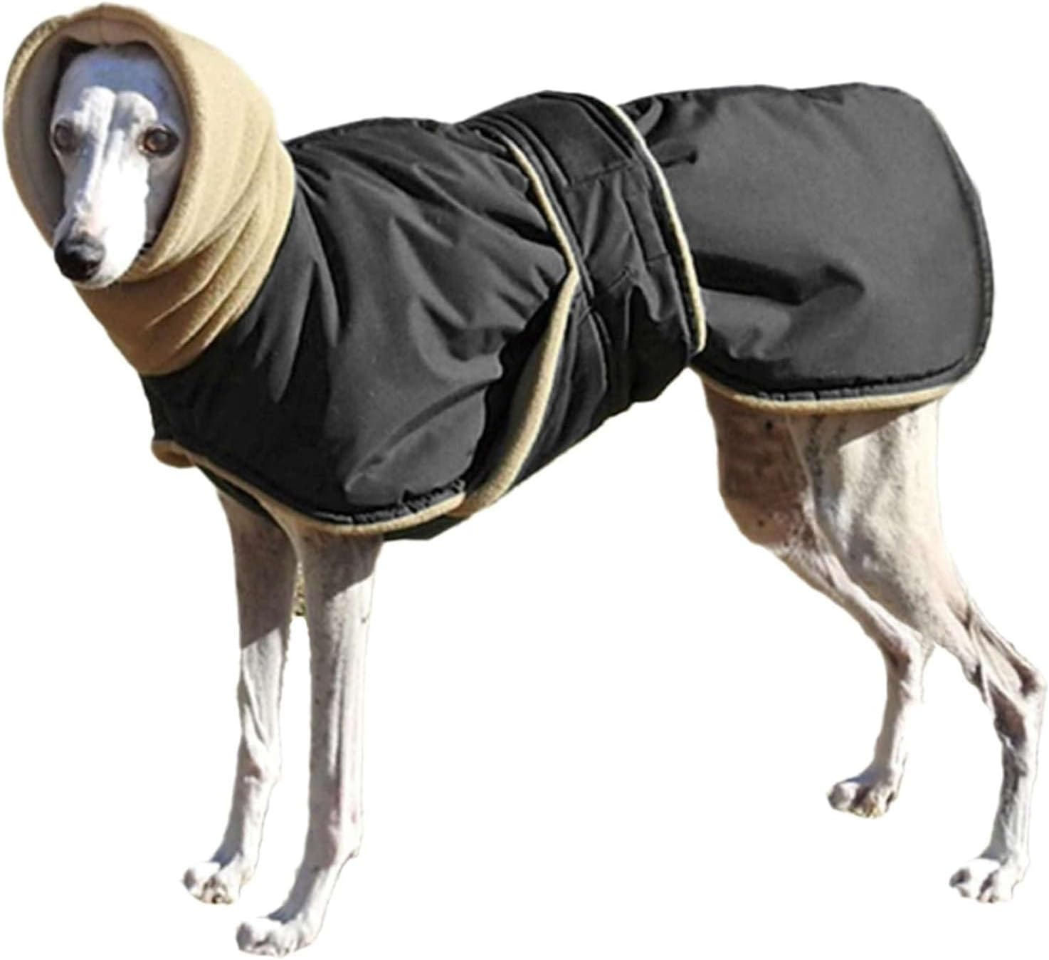 IUOUTG Greyhound Warm Jacket Waterproof Whippet Coat Dog Winter Coat with Warm Fleece Lining with Adjustable Bands Italian Greyhound Clothes for Medium Large Dogs