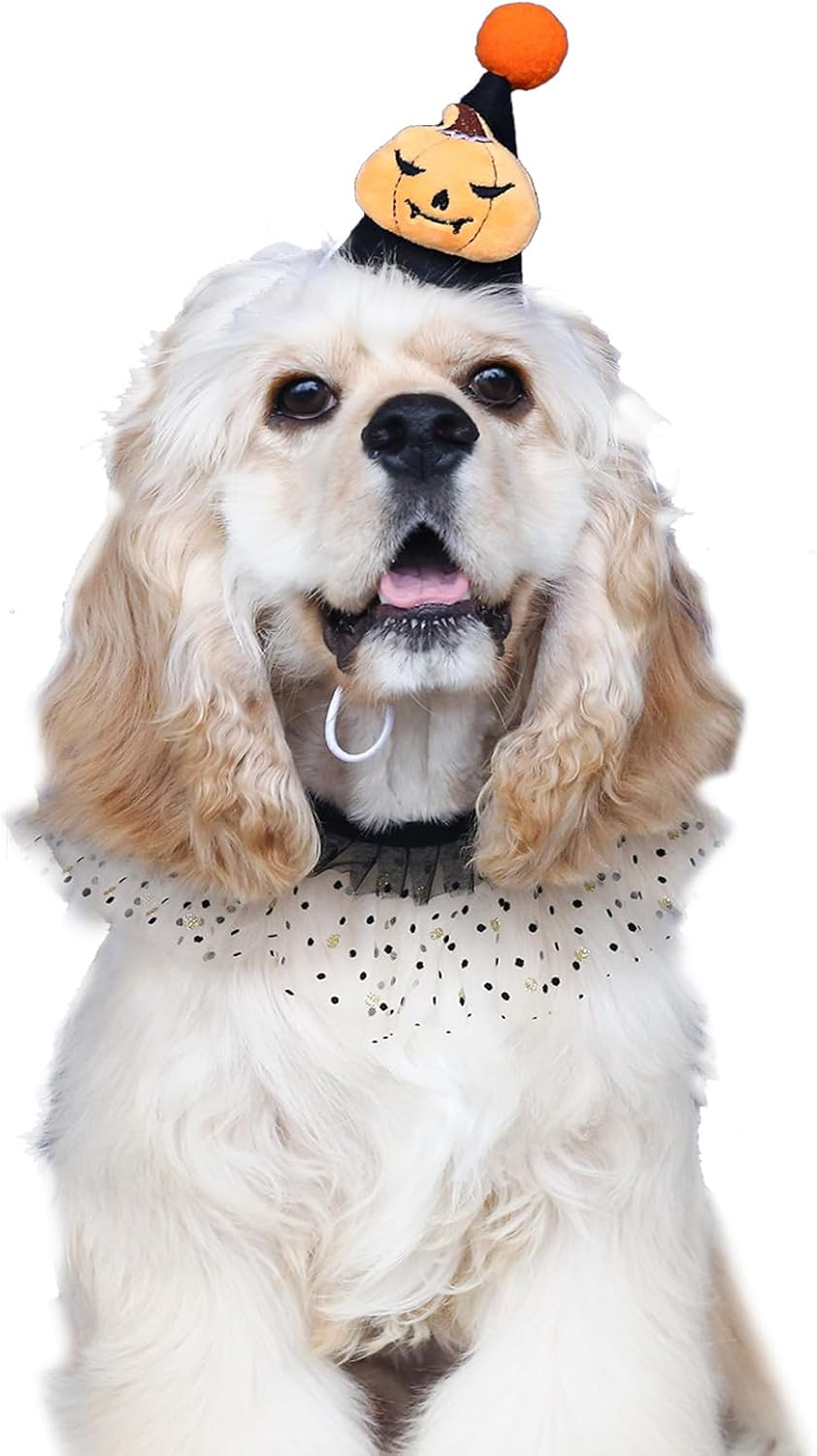 LERTREE Halloween Dog Lace Bandana and Hat Set, Puppy Cat Pumpkin Hat Polka Dot Tutu Neck Ornament Pet Neckerchief Scarf image number 2