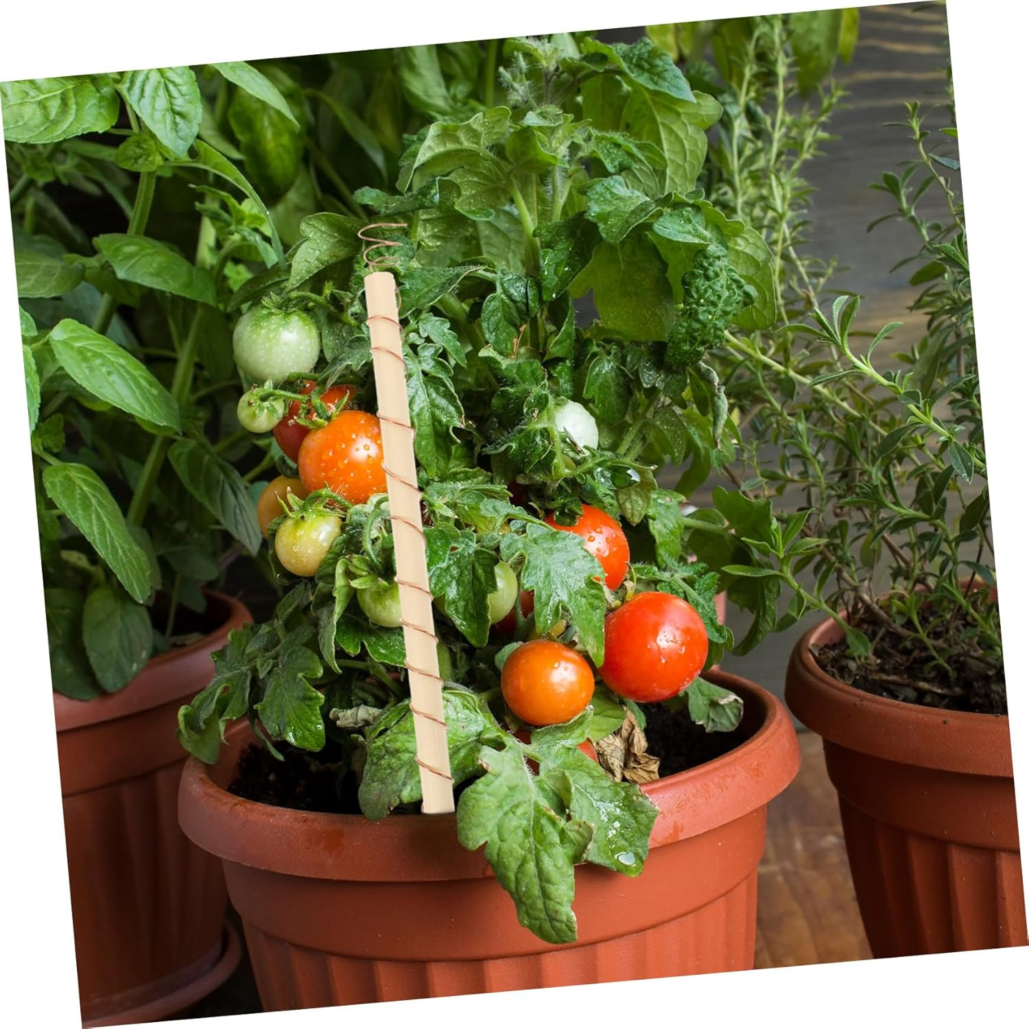 IWOWHERO 4Pcs Gardening Tool Copper Coil Antennas for Plant Stake Vegetable Garden Accessory image number 5