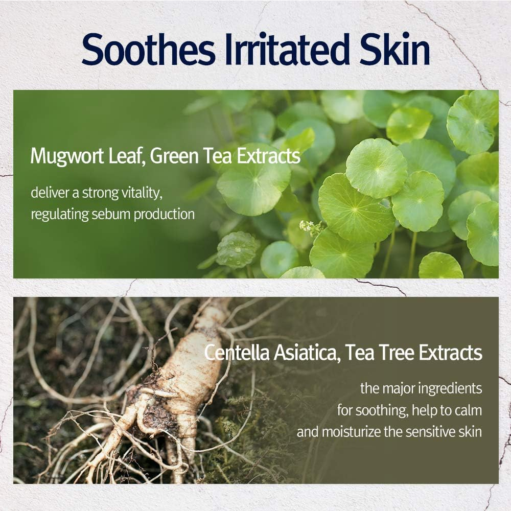 Pyunkang Yul [PKY] Highly Moisturizing Mask Pack - Korean Ceramide Vitamin Face Sheet Mask Skin Care Products - Beauty Face Mask Containing Panthenol, Hyaluronic Acid, Tea Tree, Cica (10 PCS) image number 3