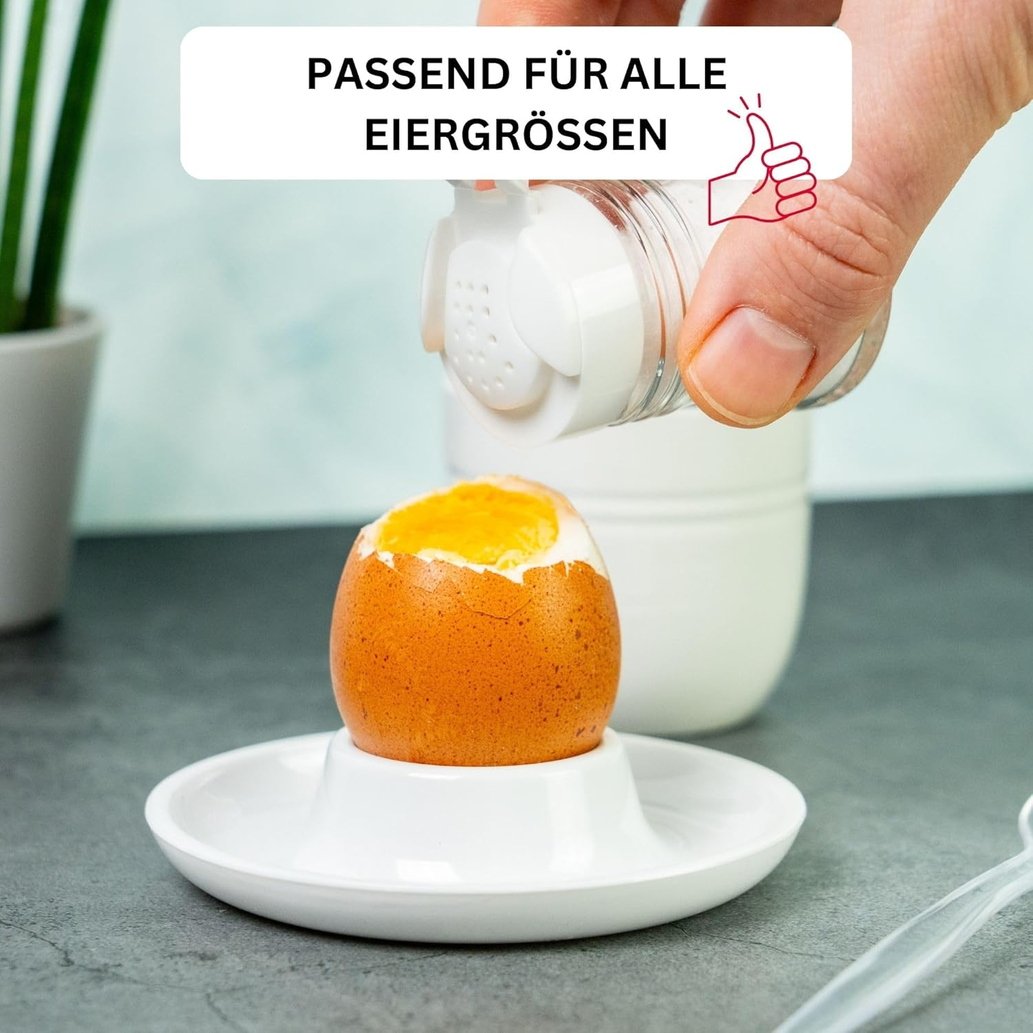 Semazz Egg Cups 6 Pieces image number 2