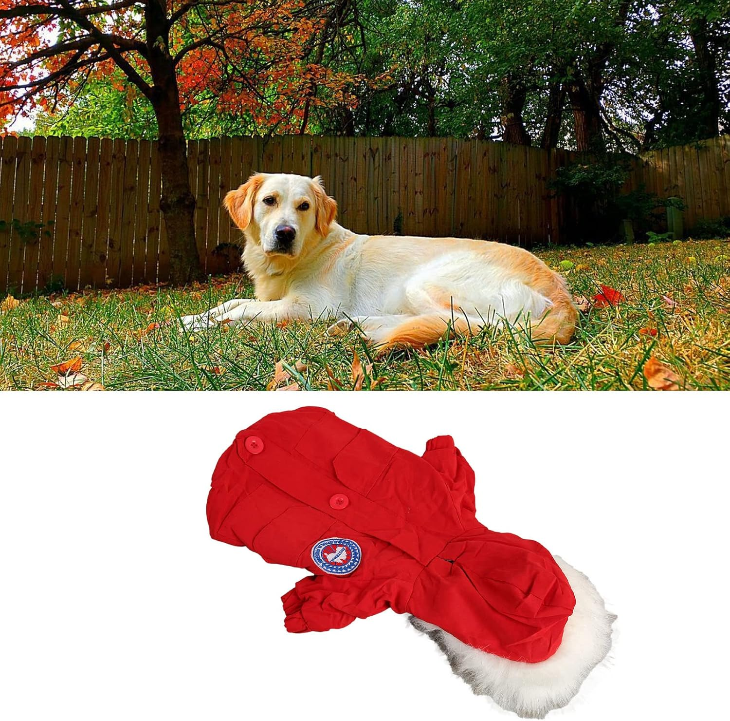 Dog Hoodies Clothes, Pet Cotton Warm Hoodies Coat Dog Winter Coats, Fashionable Casual Thickened Warm Puppy Coats for Small Medium Dogs Cats Red (XXL)