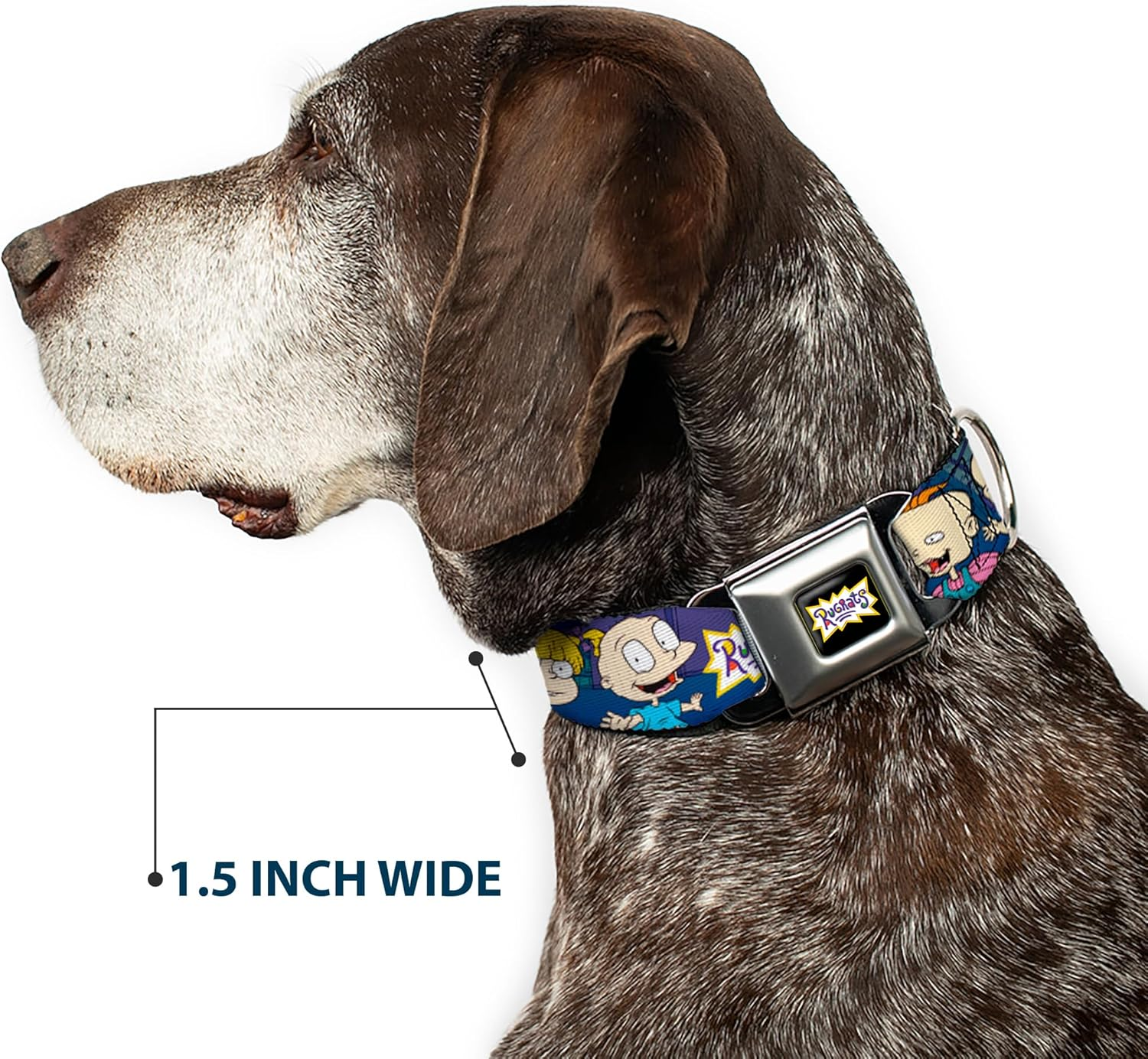 Dog Collar Seatbelt Buckle Rugrats Group Pose 9 to 15 Inches 1.0 Inch Wide