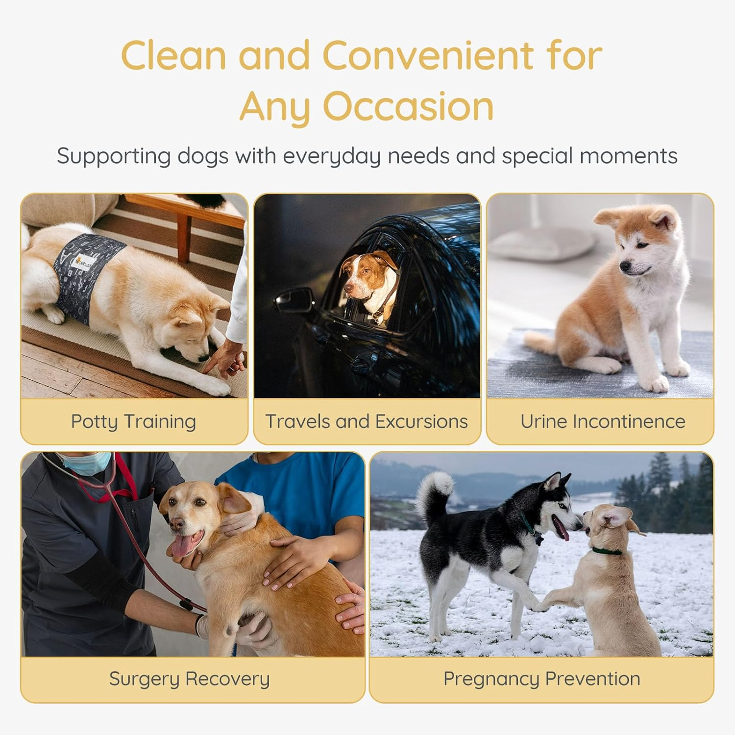 Bella & Pal Male Dog Diapers 3 Pack, Reusable, Washable Belly Bands for Male Dogs, Comfortable and Absorbent Dog Wraps, Adjustable & Leak-Proof, L Size (Waist 16-20"), Gray image number 4