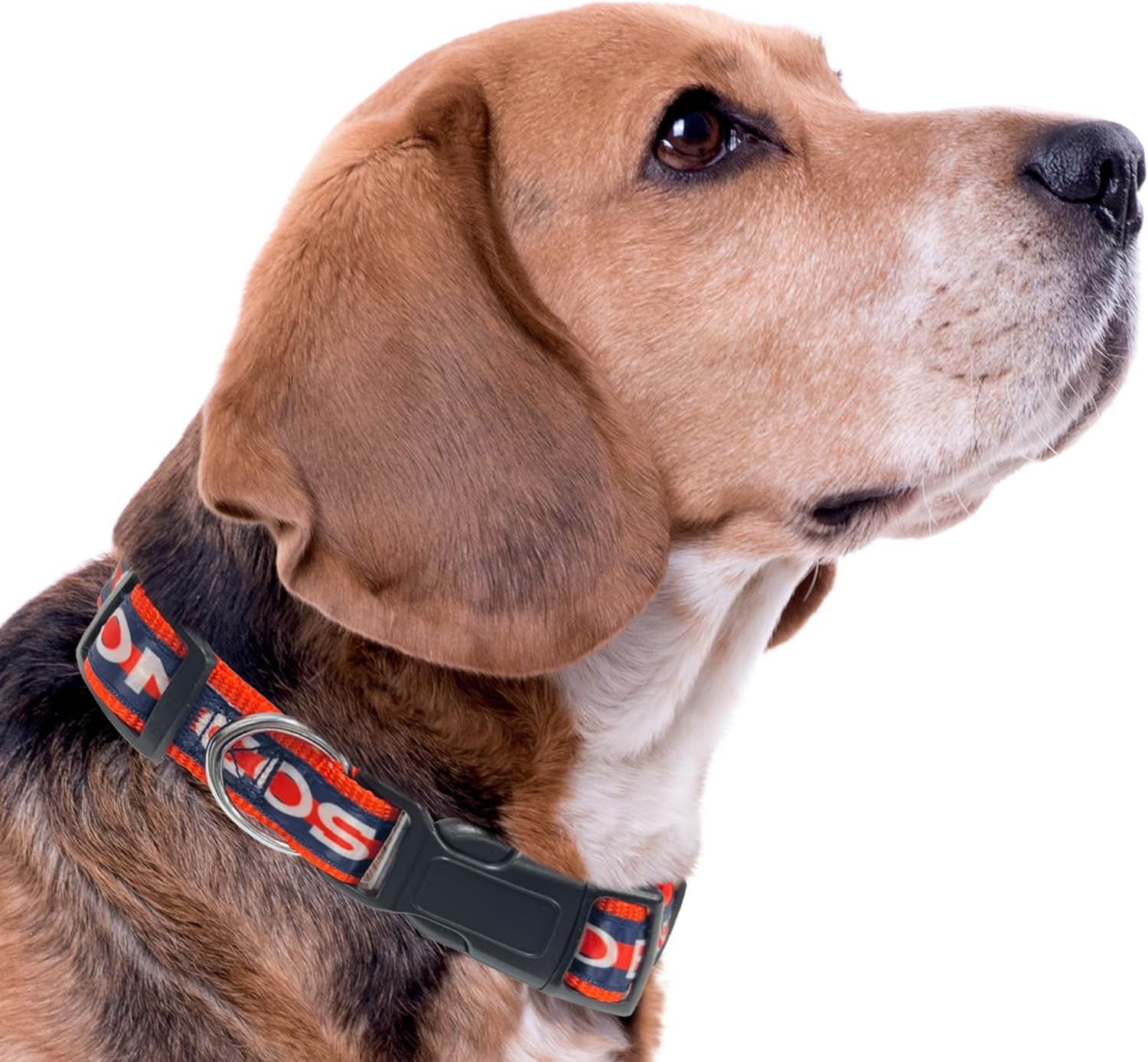 Pets First NFL Dog Collar image number 4