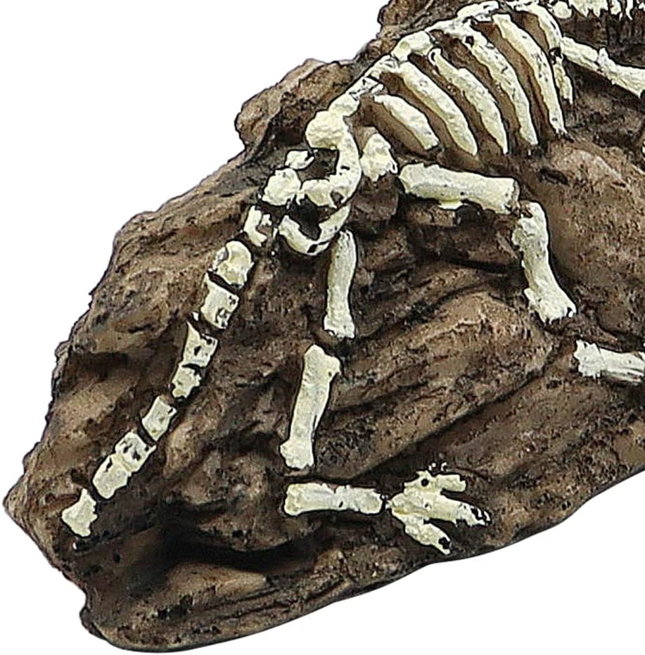 NUZAMAS Aquarium Dinosaur Fossil Decoration Dinosaur Ornaments Reptile Shelter Artificial Dinosaur Hideout Cave Landscape Fish Tank Decoration Landscape Hiding House image number 1