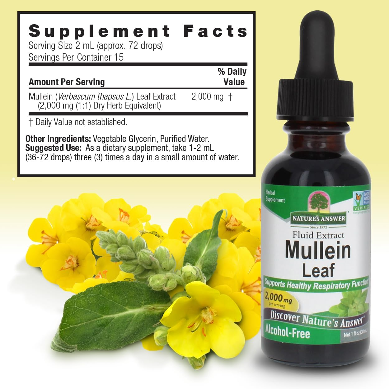 Nature'S Answer Natures' Answer Alcohol-Free Mullein Leaf, 1-Fluid Ounce image number 4