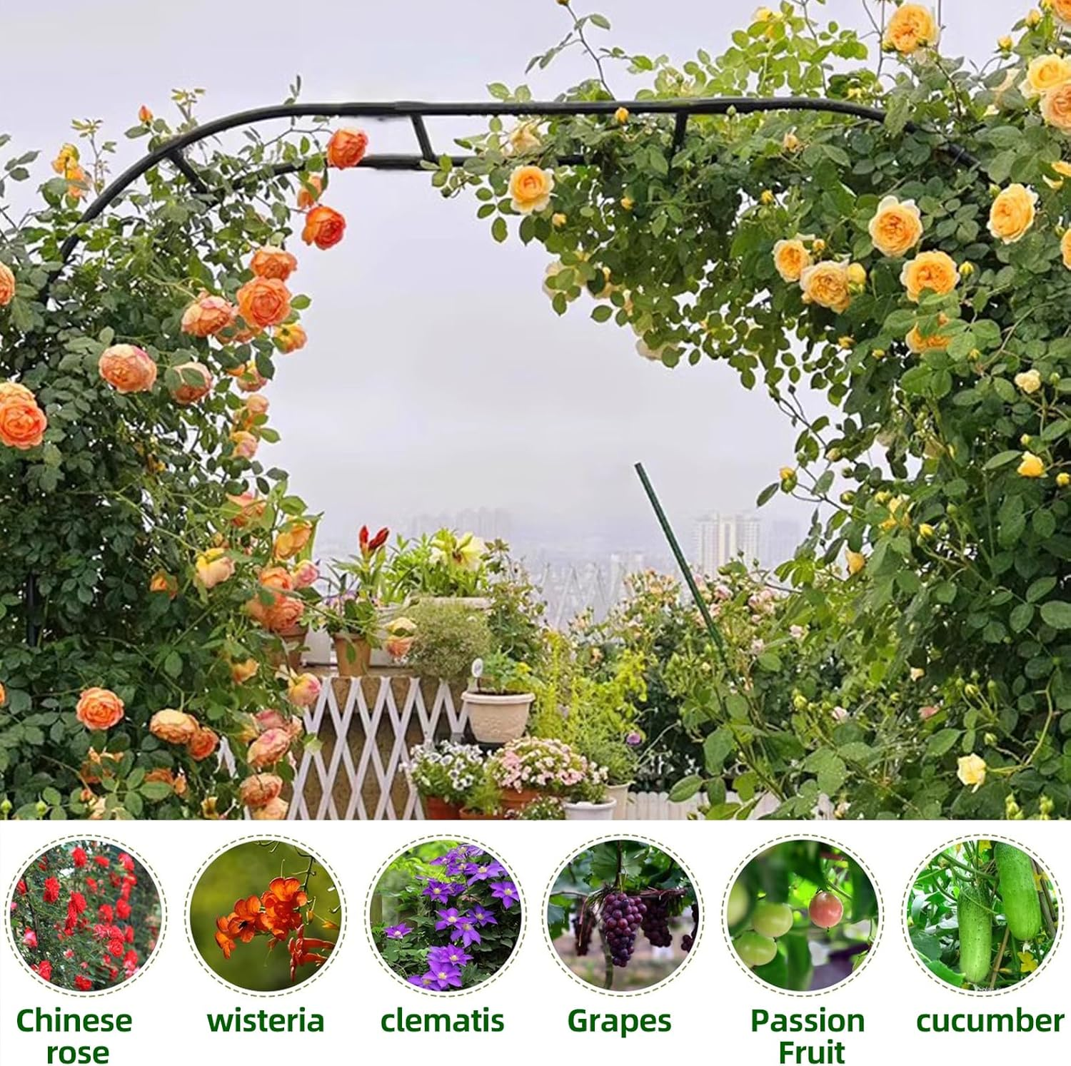 BUKLIYN Garden Arch Trellis - Length: 98.5In, Height: 94.5In Iron Garden Arch Arbor Trellis for Climbing Plants Outdoor - Garden Arch for Lawn, Party, Ceremony Wedding Decoration (Black)