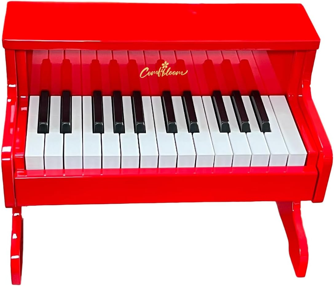 Wooden Piano Keyboard, 25 Keys, Musical Educational Toy (White)