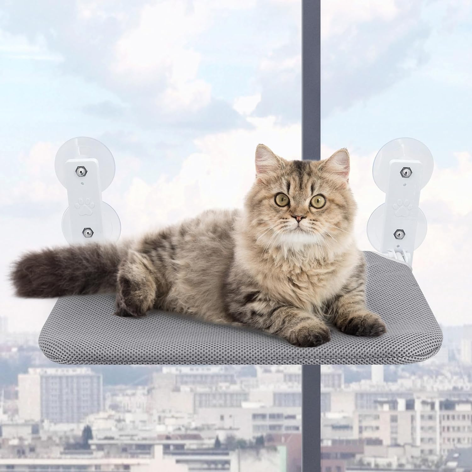 Cat Window Perch, Wireless Cat Window Hammock Foldable with 4 Suction Cups Fixed Frame Breathable Mesh Cat Window Seat Cat Beds (Grey, 45 X 30 Cm) - Gray image number 3