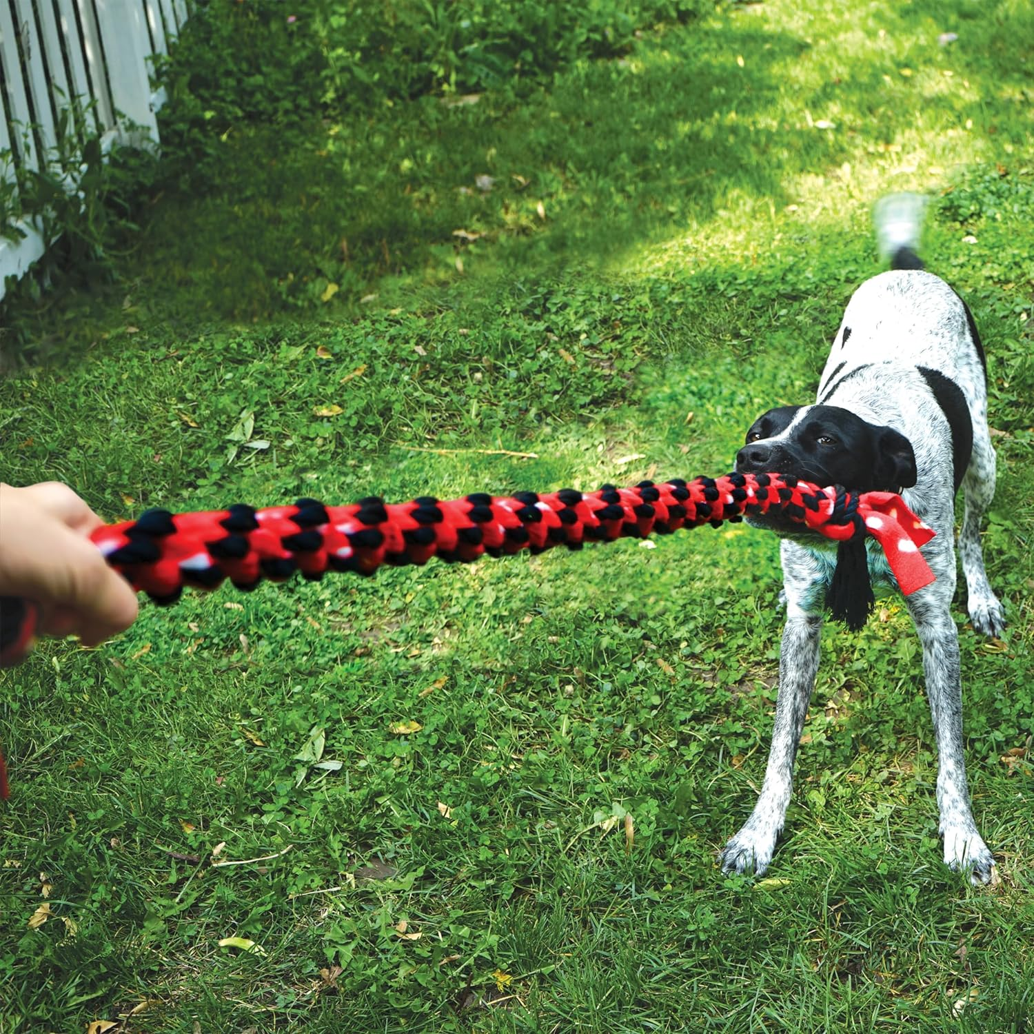 Kong Signature Rope Mega Dual Knot Dog Toy, 40-Inch Size image number 2