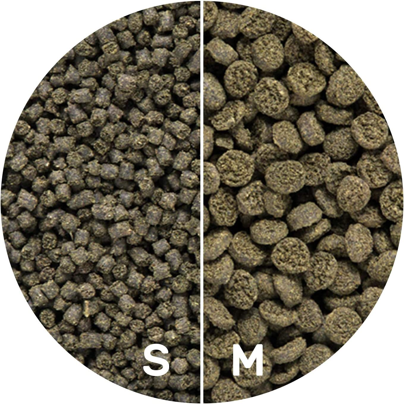 Hikari Usa Inc AHK25323 Seaweed Extreme 8.8-Ounce image number 3