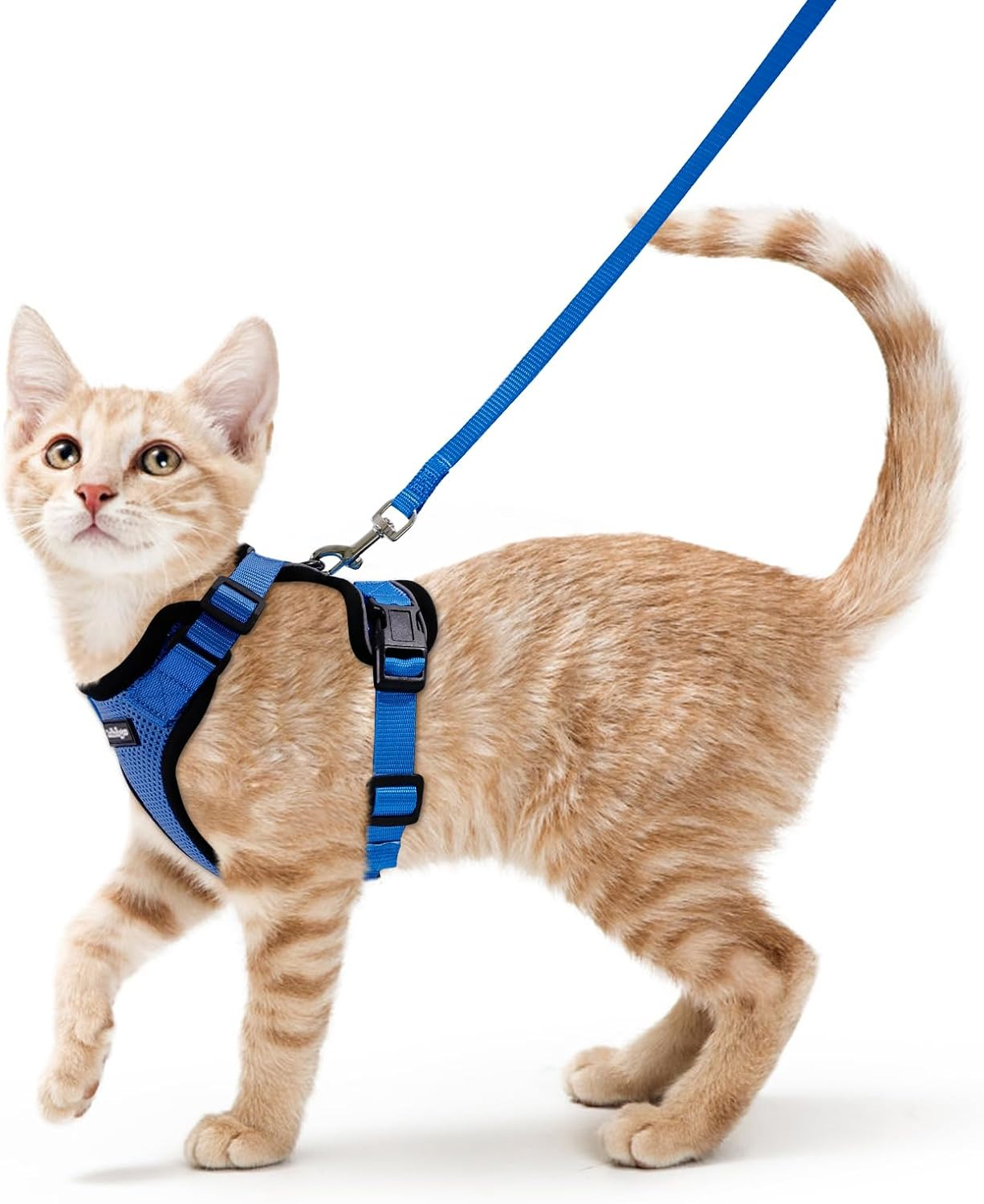 Rabbitgoo Cat Harness and Leash for Walking, Escape Proof Soft Adjustable Vest Harnesses for Cats, Easy Control Breathable Reflective Strips Jacket,Pink, XS