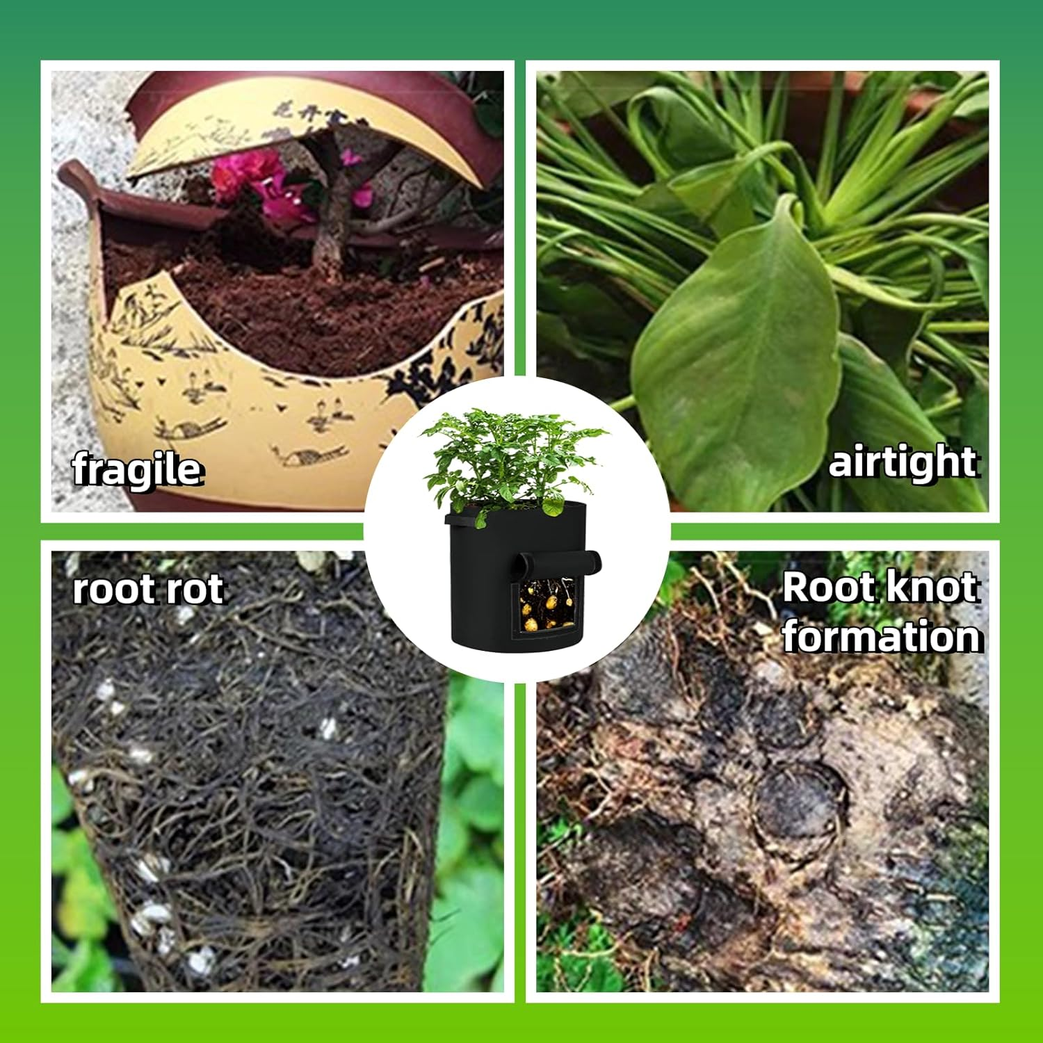 3 Pack Plant Grow Bags, Potato Grow Bags 10 Gallon with Viewing Window, Heavy Duty Thickened Nonwoven Fabric Pots with Handles, Large Plant Growing Bags Garden Grow Bags for Vegetables & Flowers image number 3