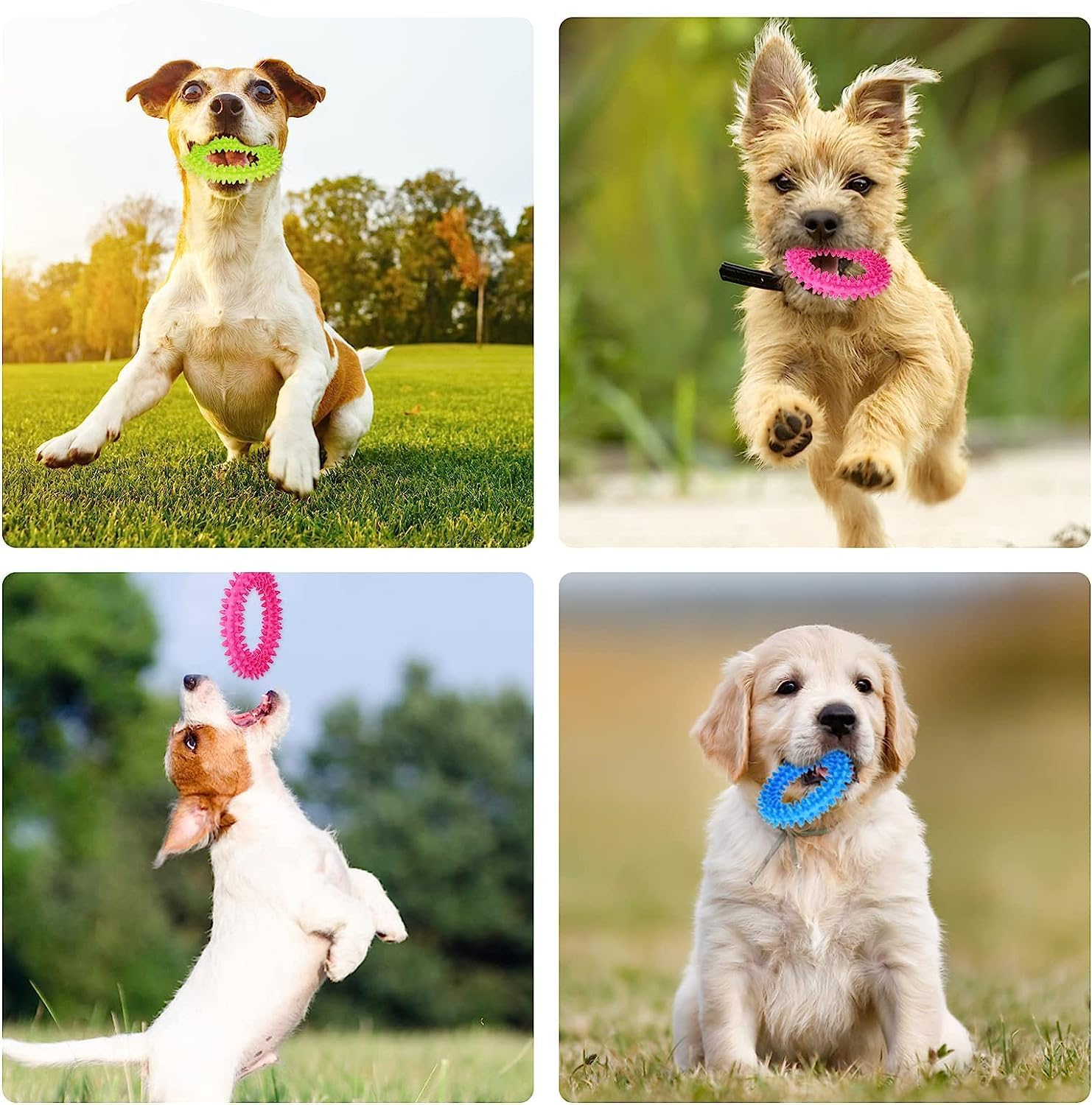 KOMUNJ 3 Pieces 360&deg; Clean Pet Teeth and Soothing Itching Small Dogs Puppy Toy Ring Rubber Dog Chew Toy Oral Health Puppy Interactive image number 4