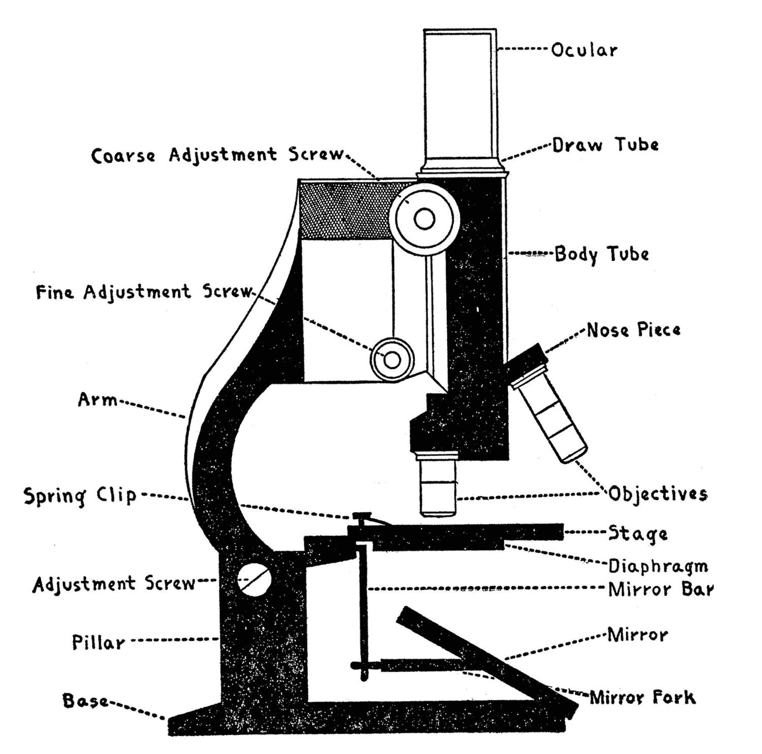 Adventures with a Microscope image number 4