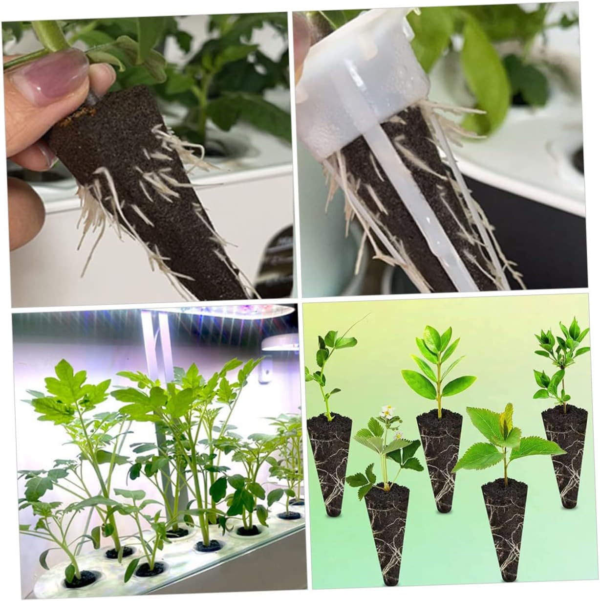 ROMISBABA 40Pcs Shape Hydroponic Grow Sponges for Soilless Plant Cultivation for Indoor Gardening Easy Transplanting Compatible Various and Vegetables