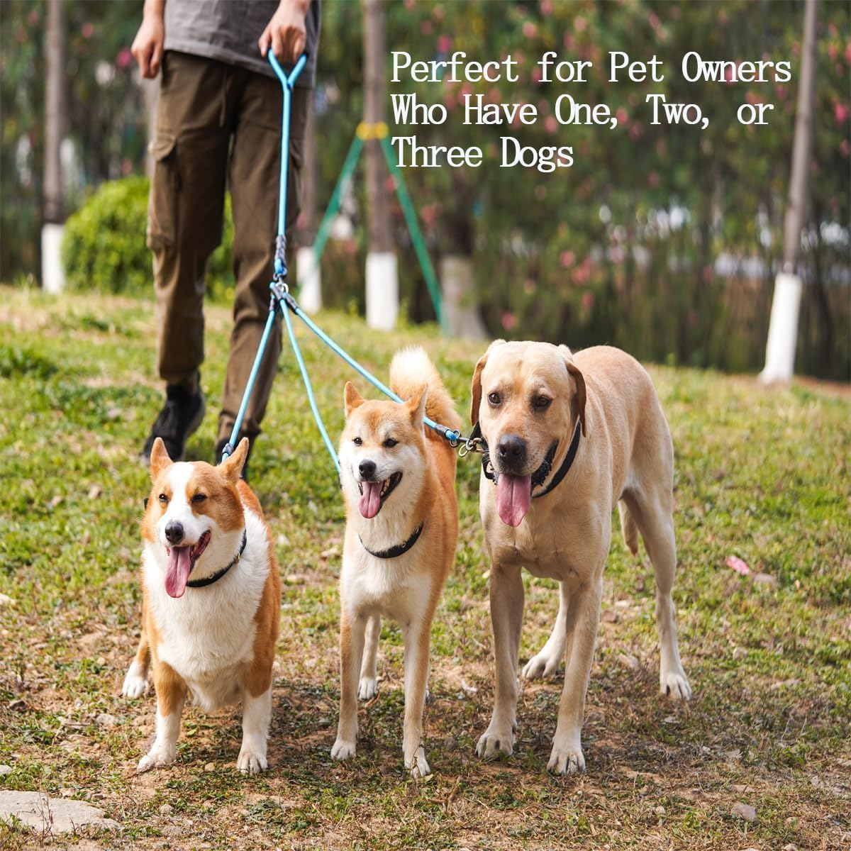 3 in 1 Durable Nylon Dog Leash with Padded Handle, 360&deg; Swivel No Tangle Climbing Rope Removable Pet Traction Rope (Blue, S) image number 4