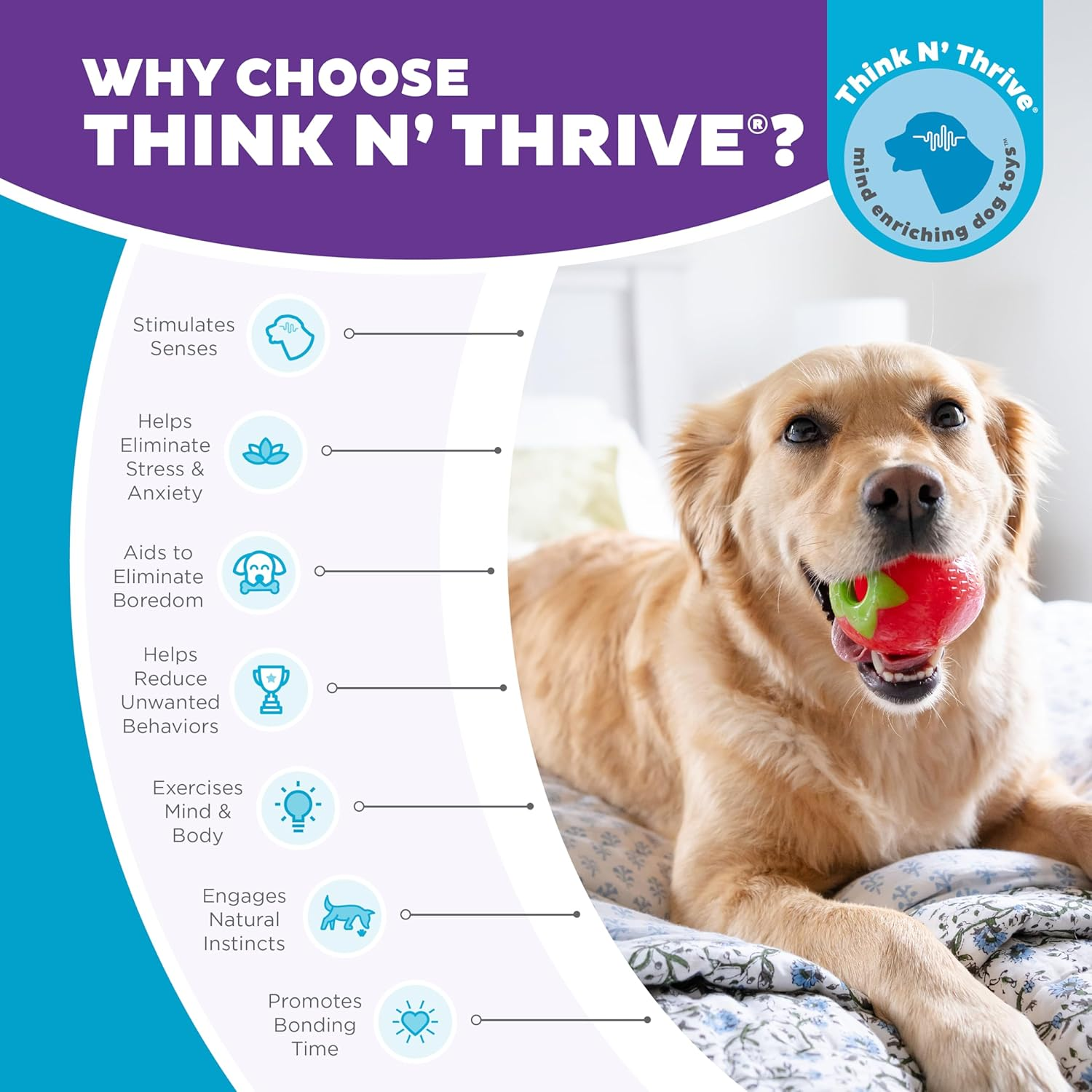 Planet Dog - Orbee-Tuff Strawberry - Foodies Chew Toy with Treat Spot for Retrieving and Training image number 6