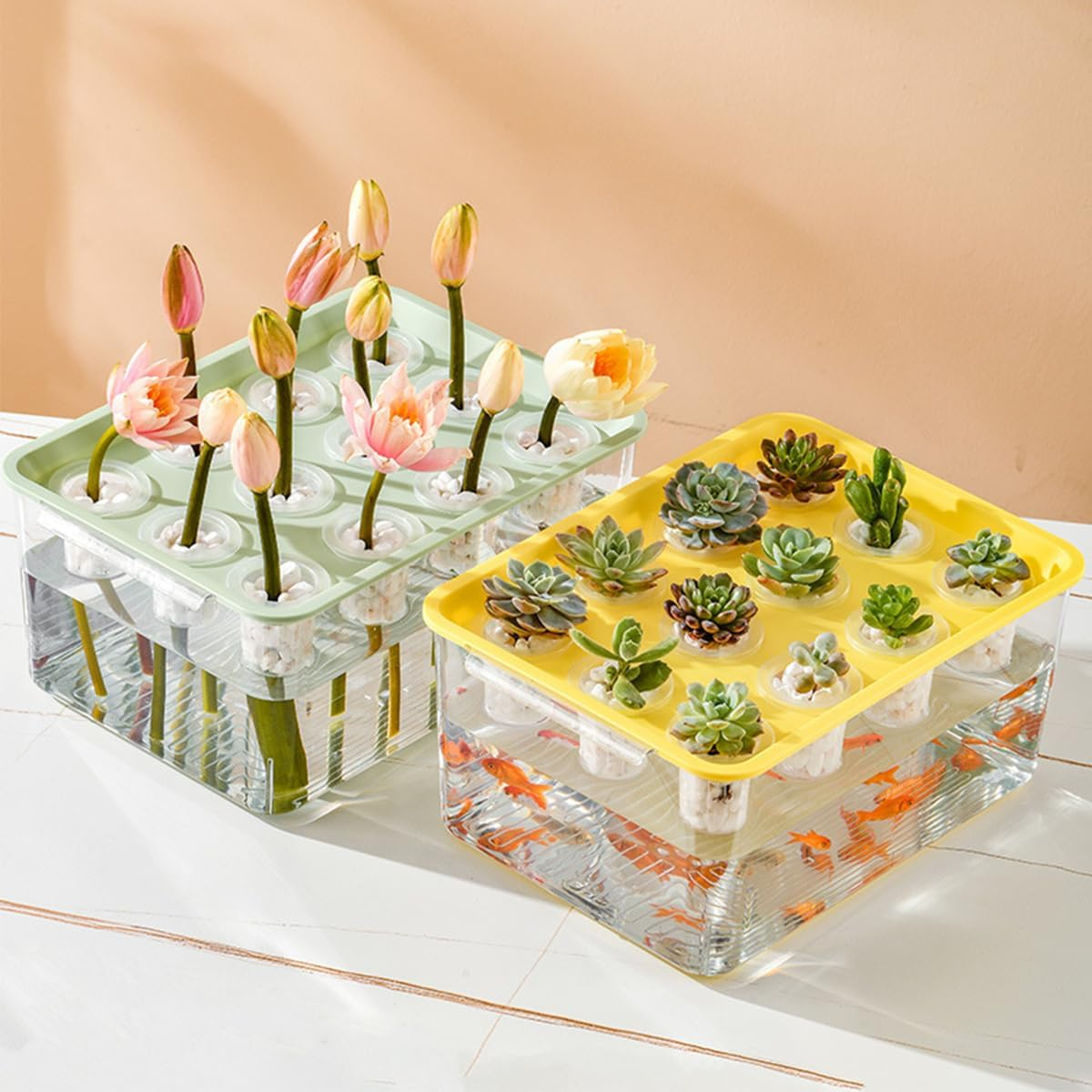 Transparent Plastic Rectangular Hydroponic Planter Box with Twelve-Hole Cover, Portable Micro Landscape Plant and Fish Tank, Ideal for Living Room Desktop Decoration, Durable Material - Green image number 6