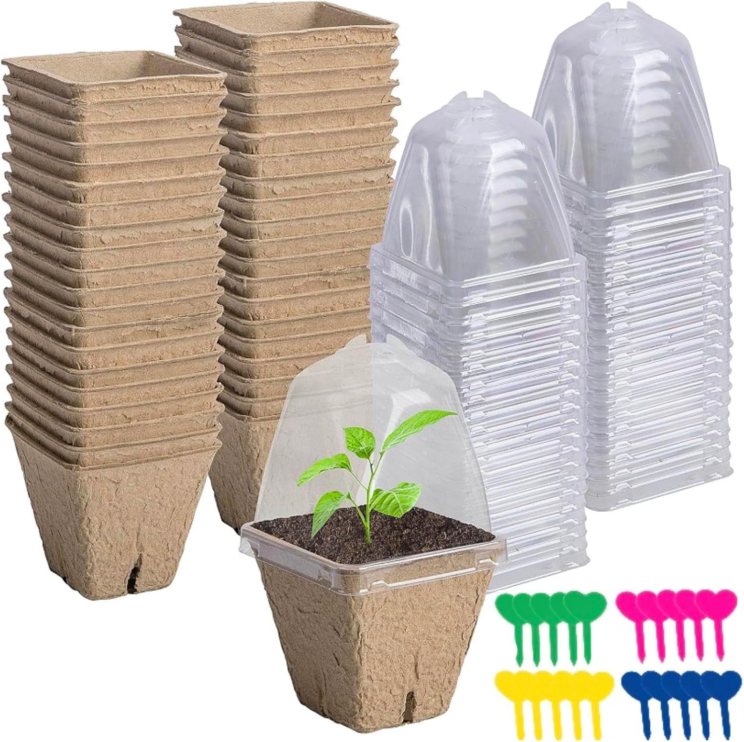 20 Pcs Seedlings Peat Pots, Biodegradable Nursery Pots for Plants with Humidity Domes with 20Pcs Plant Labels, Square Design for Plants, Flowers, Vegetables image number 3