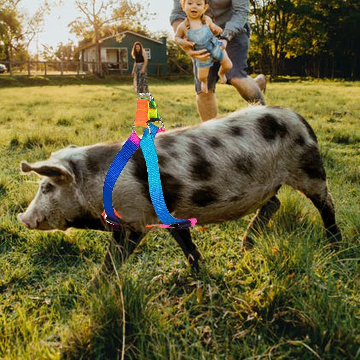 Woyous 2 Pieces Adjustable Pig Harness with Leash Set Pet Pig Supplies Harness with Leash Set for for Hog Piggy Rabbit Small Animals Walking Jogging (S, Multicolor) image number 4